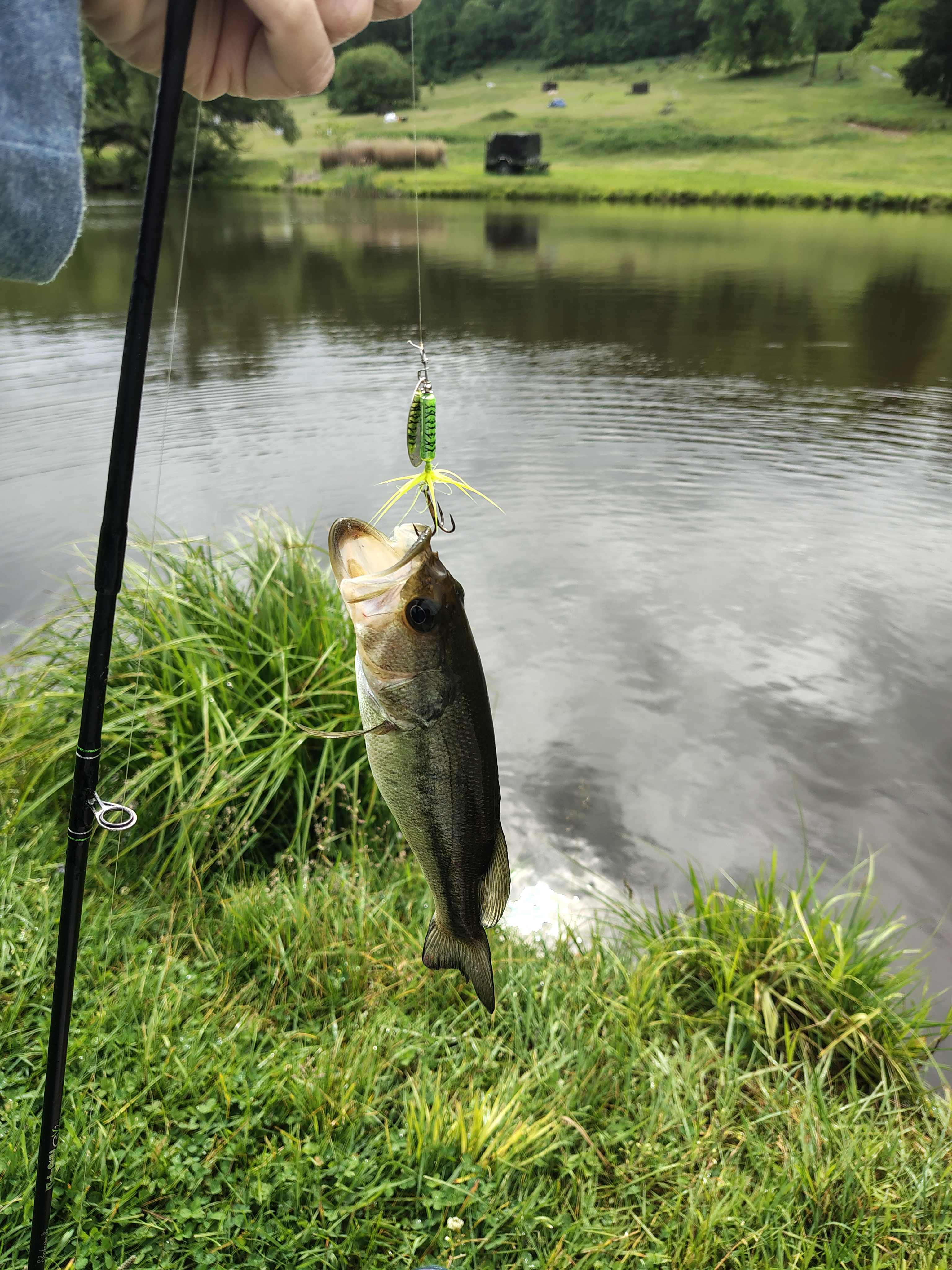Private Pond Camping
