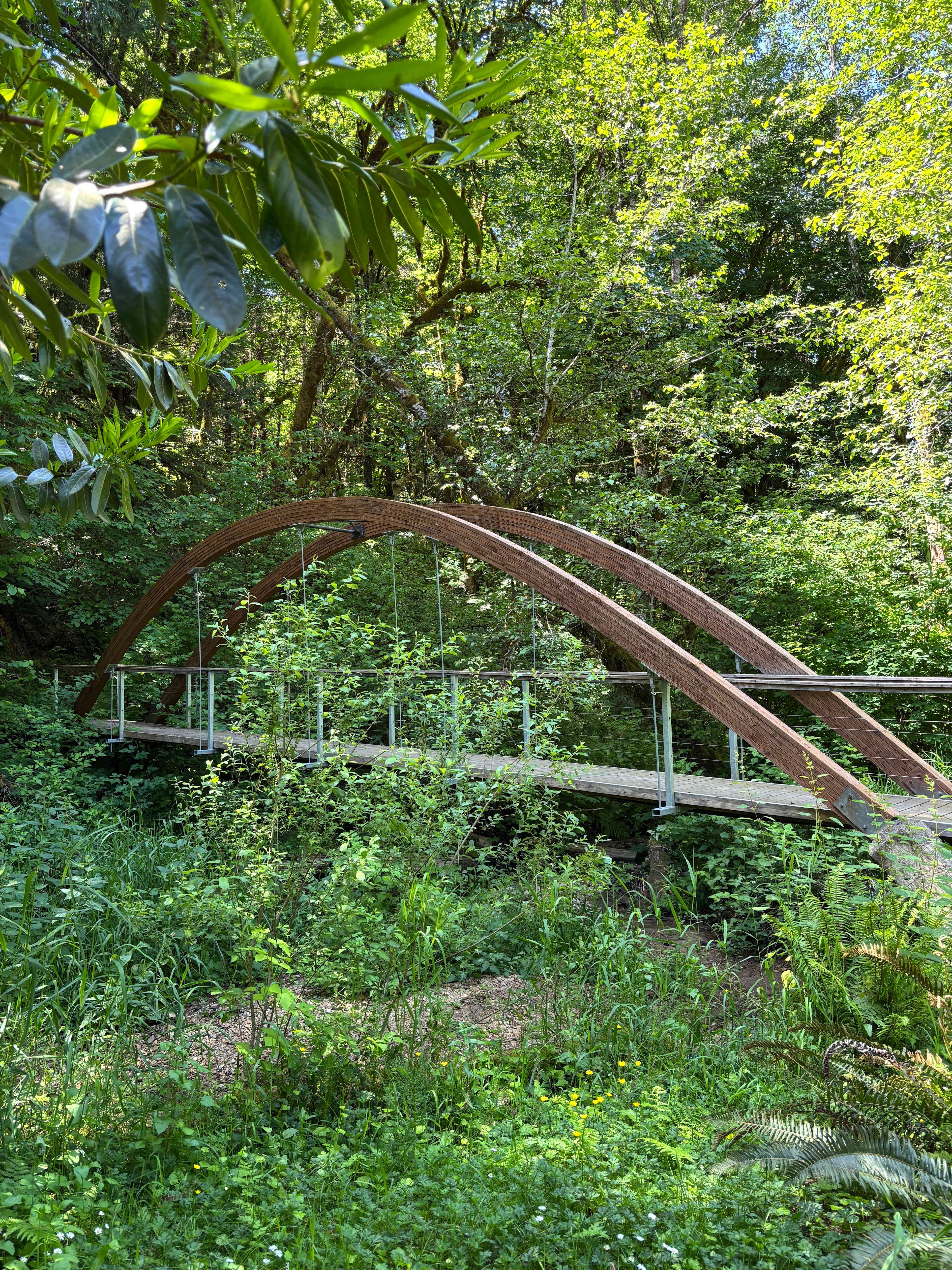 Alsea Valley Farm
