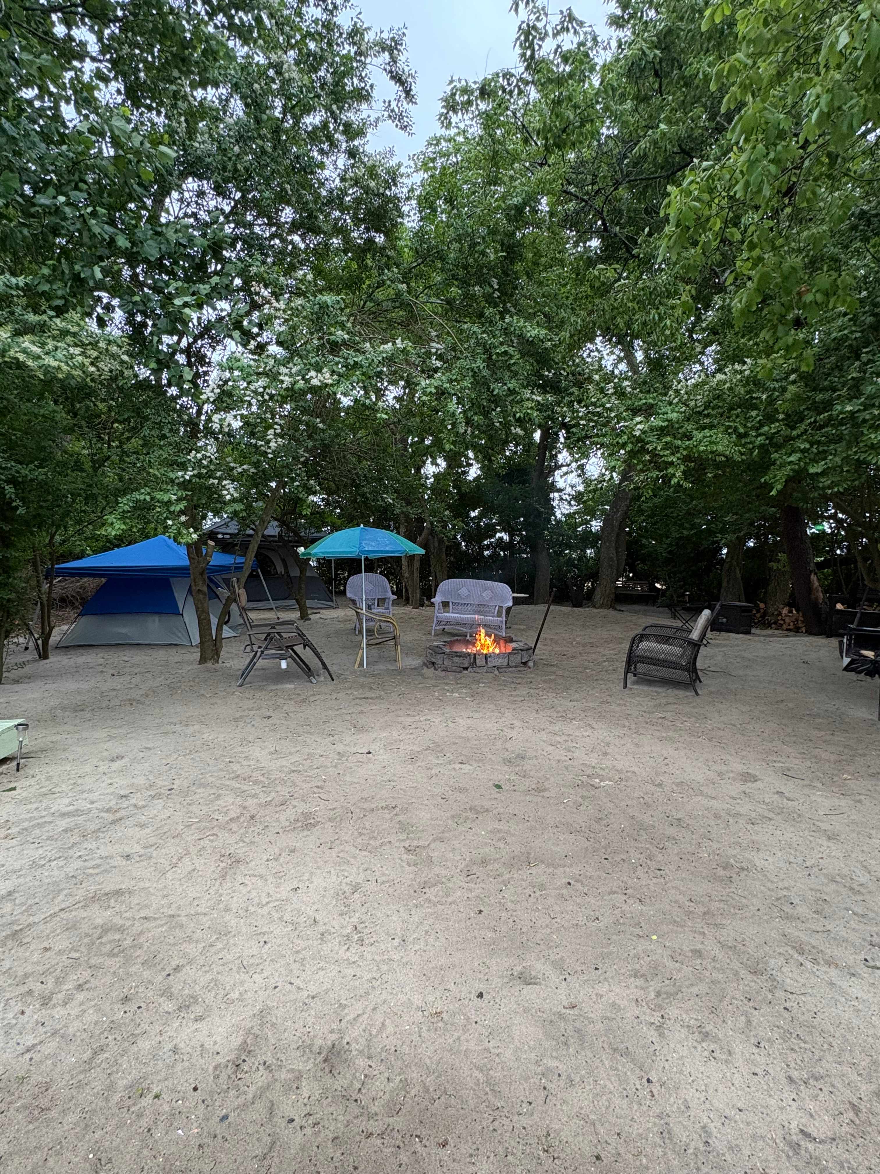 Emily's place
