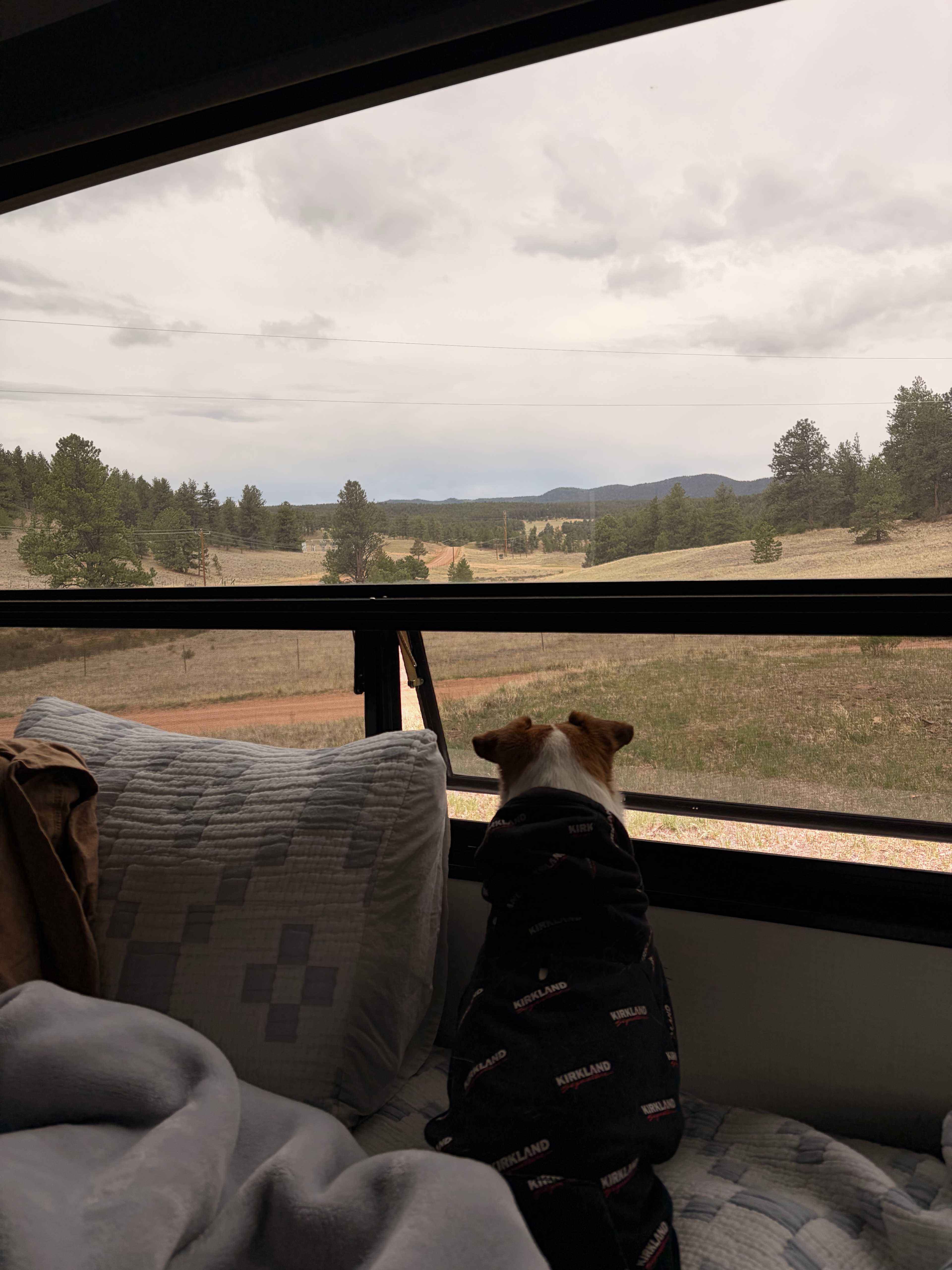Pikes Peak Drive Peaceful Acres
