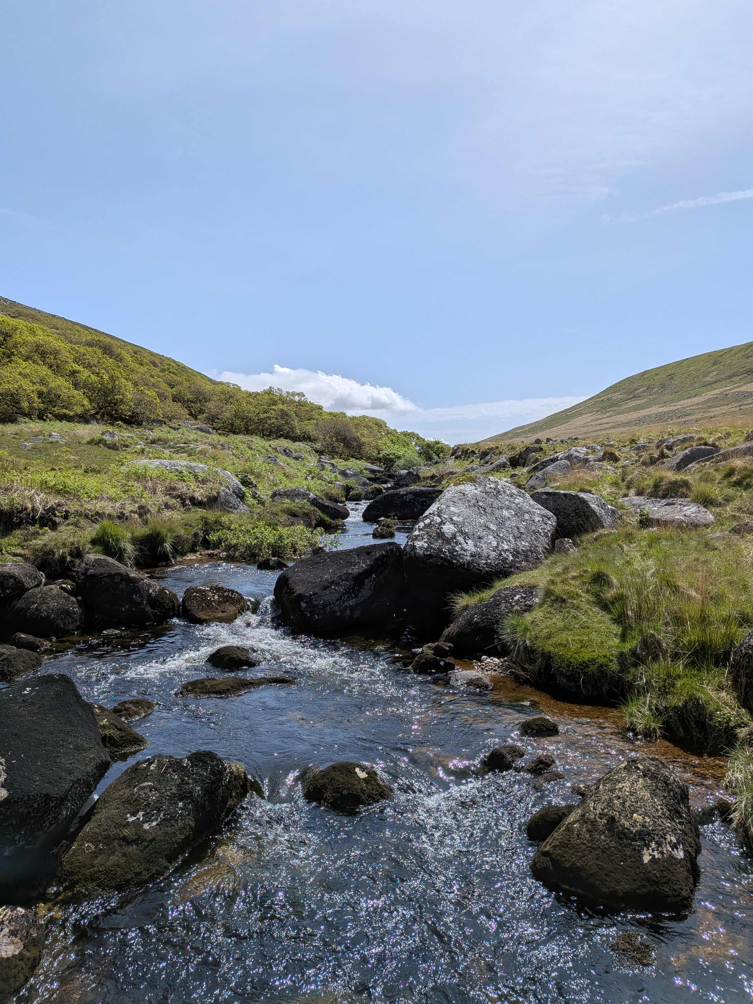 Meldon Lake and Woods Wild Camping