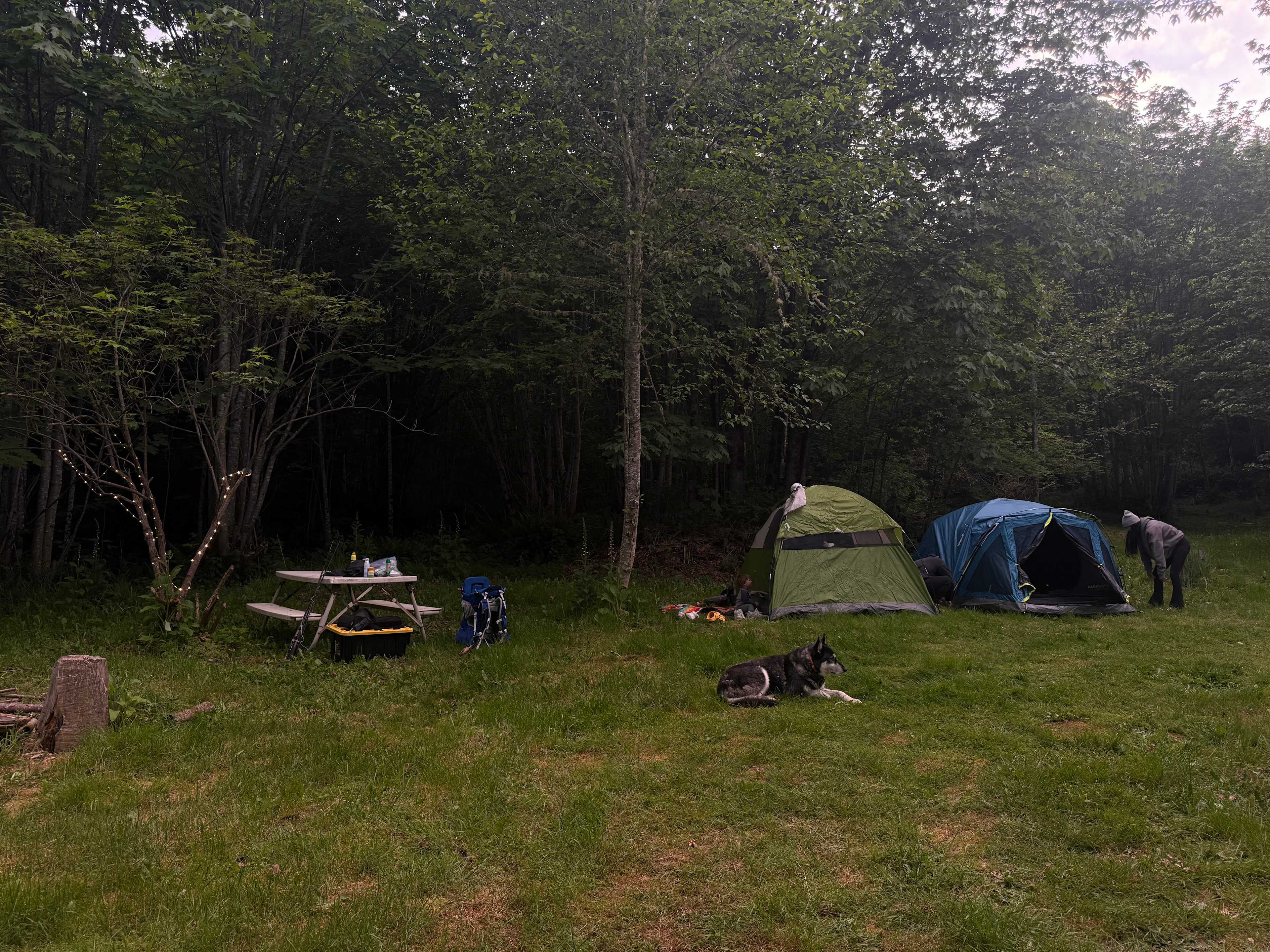 Rutabaga Ridge