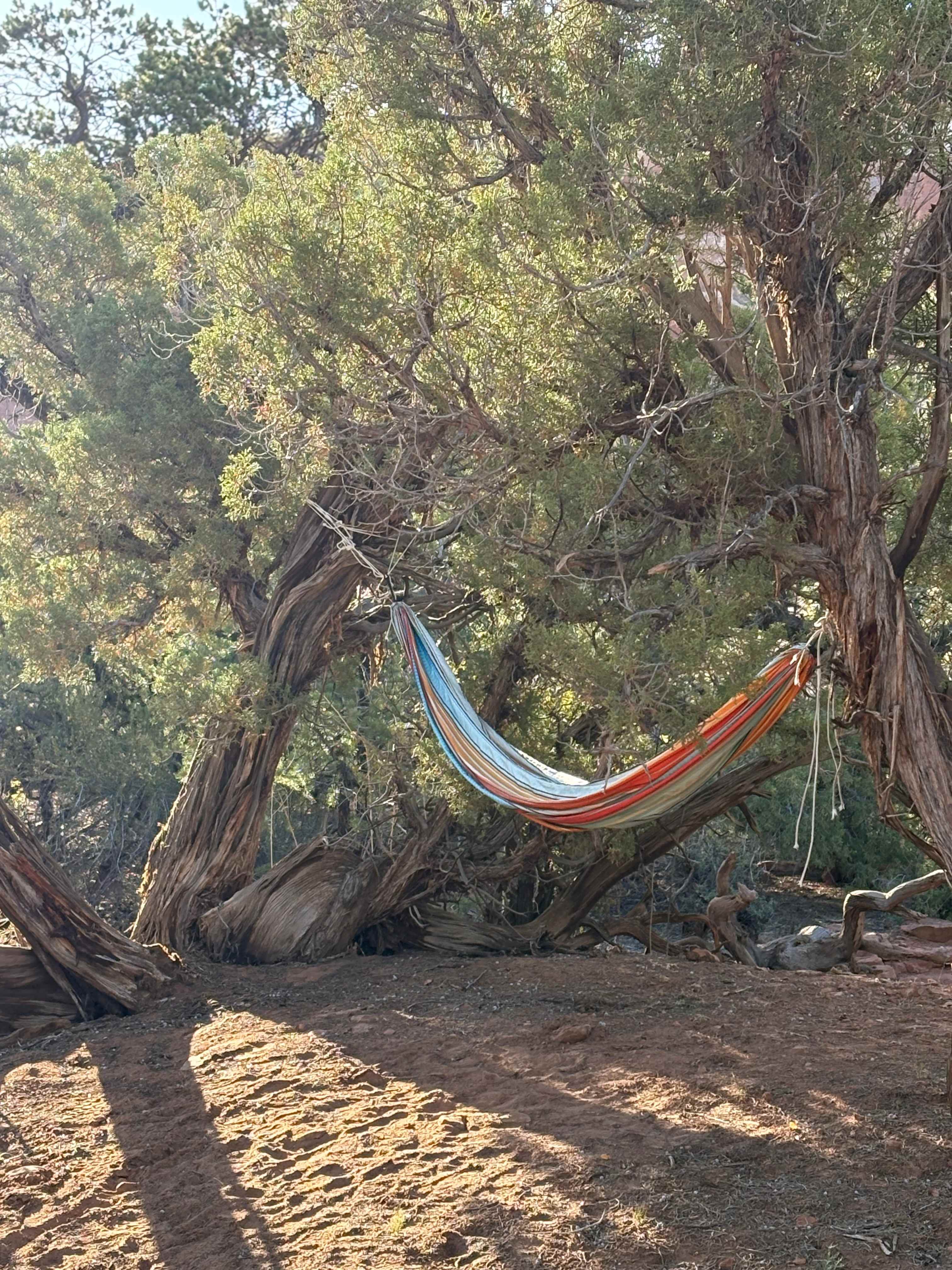 Hammock was included with our site - super fun for kids! 