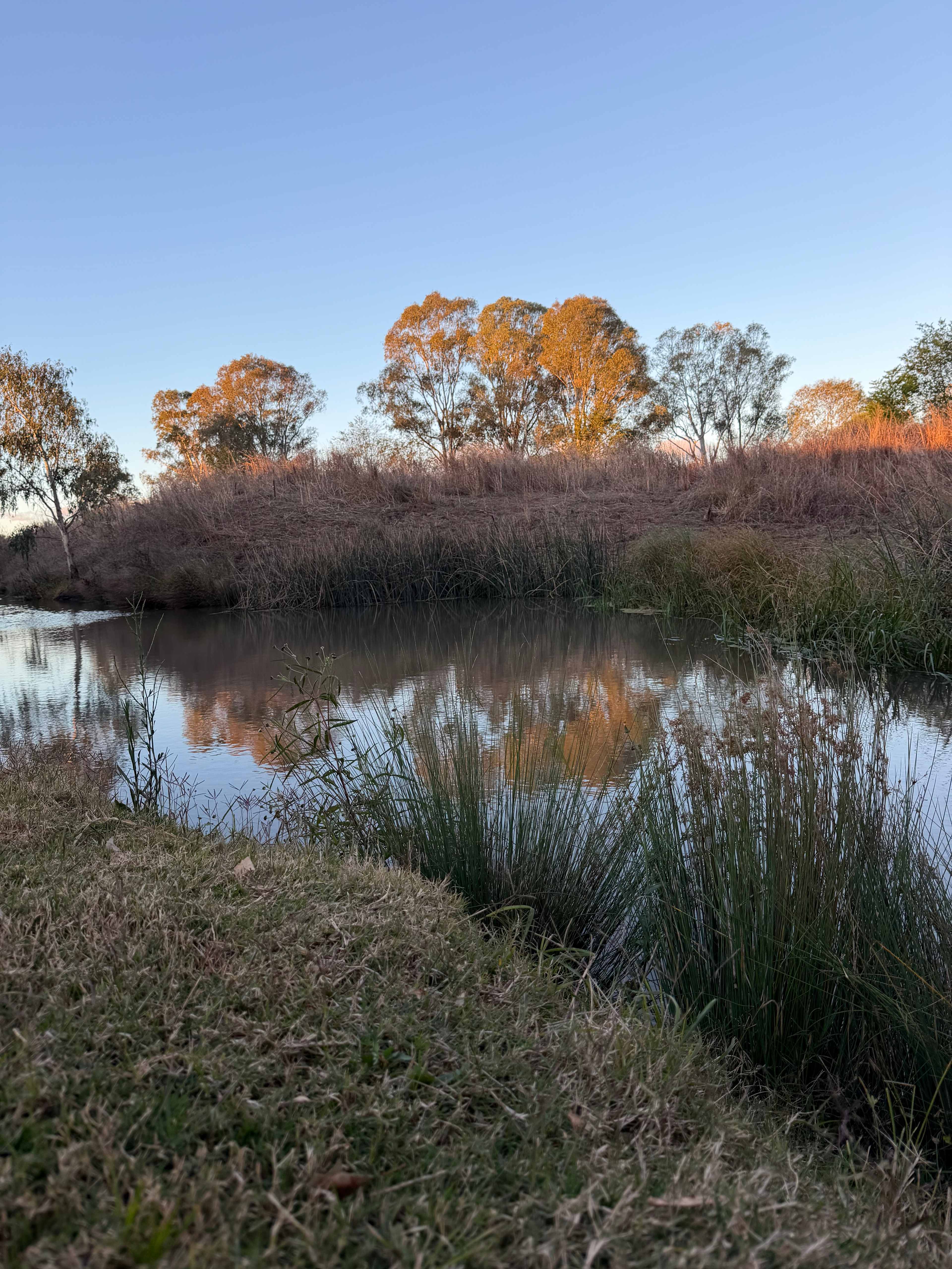 Warrego Farm