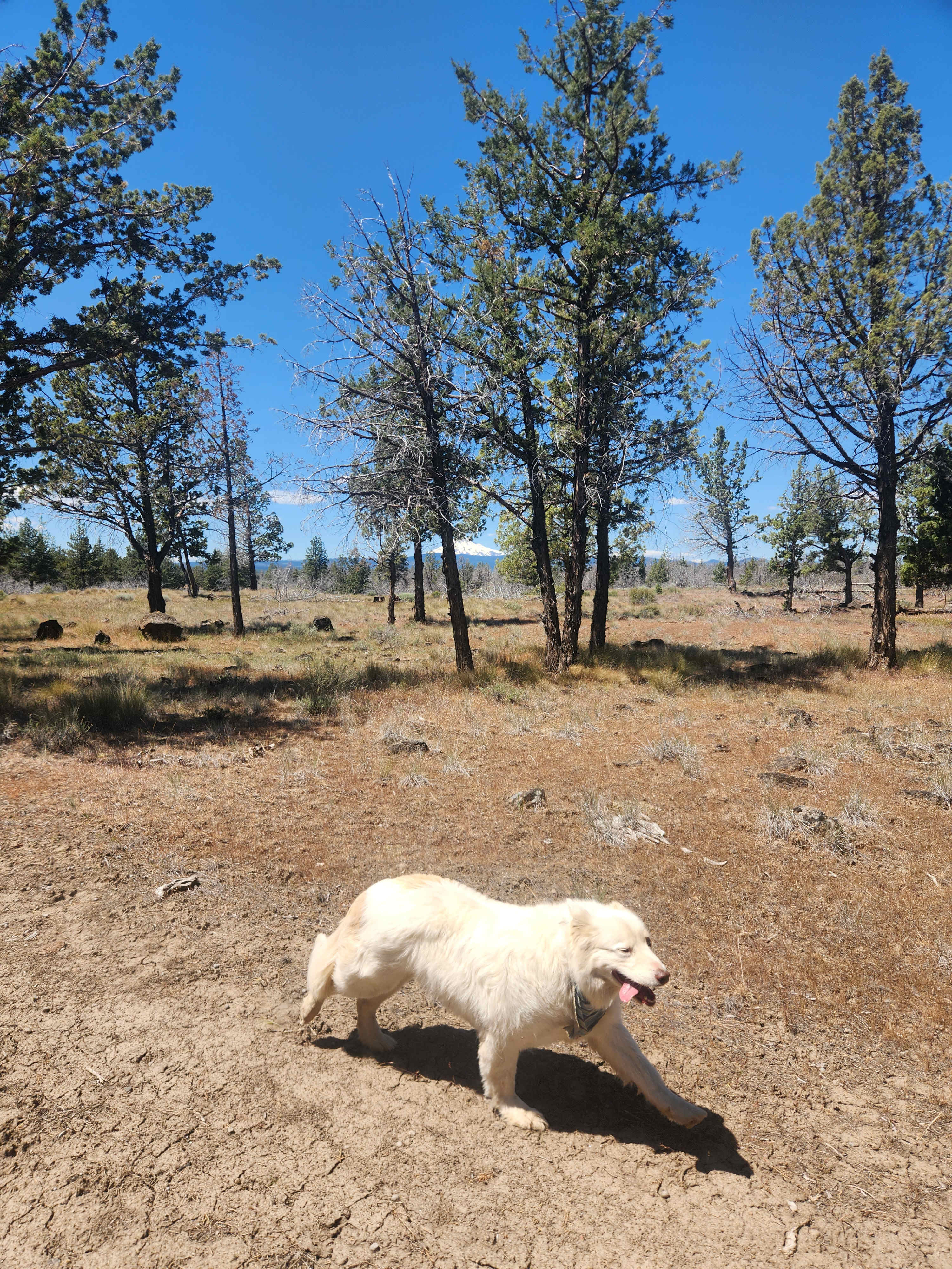 Winter Creek Acres