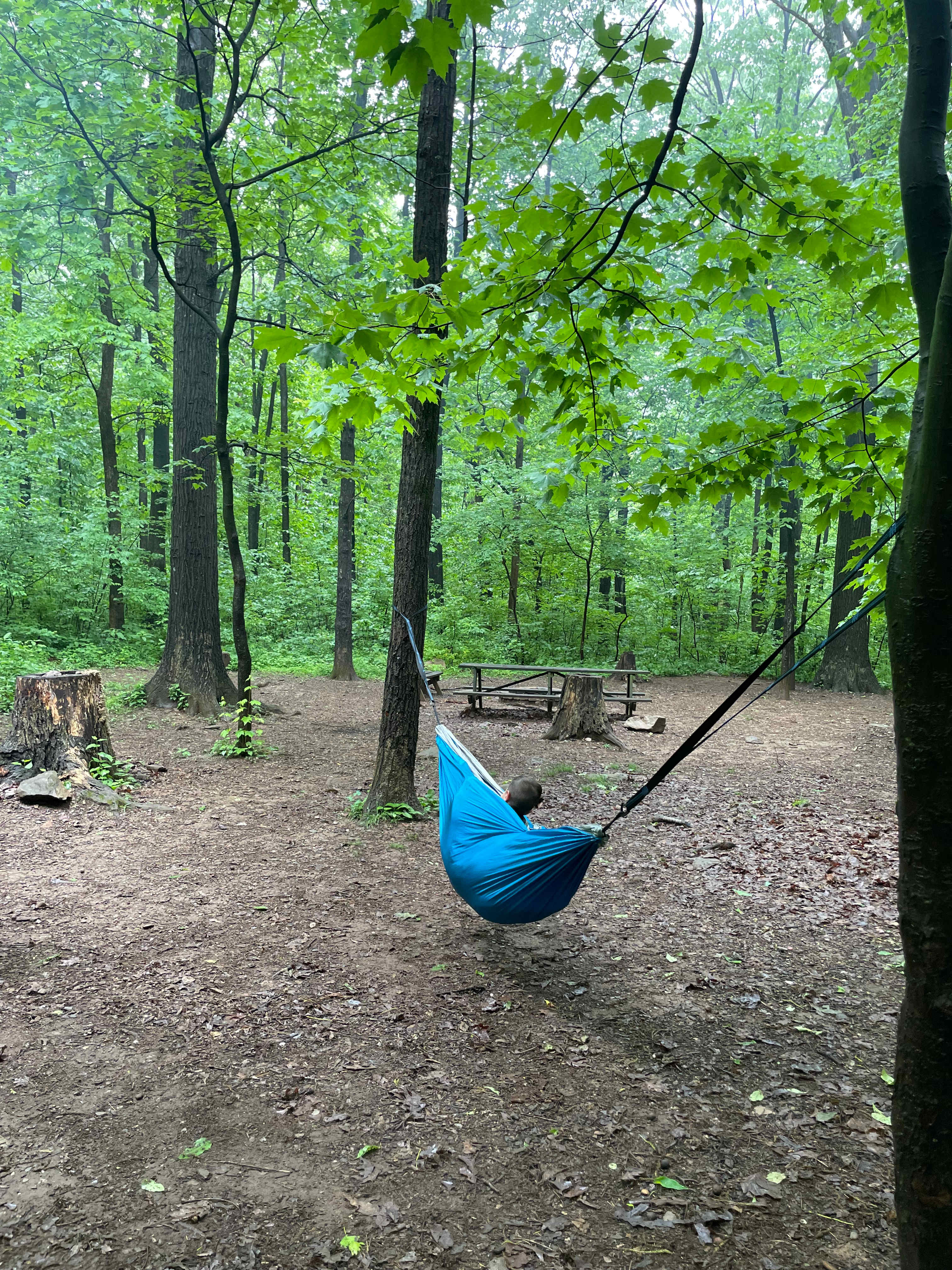 Bears Den Campground