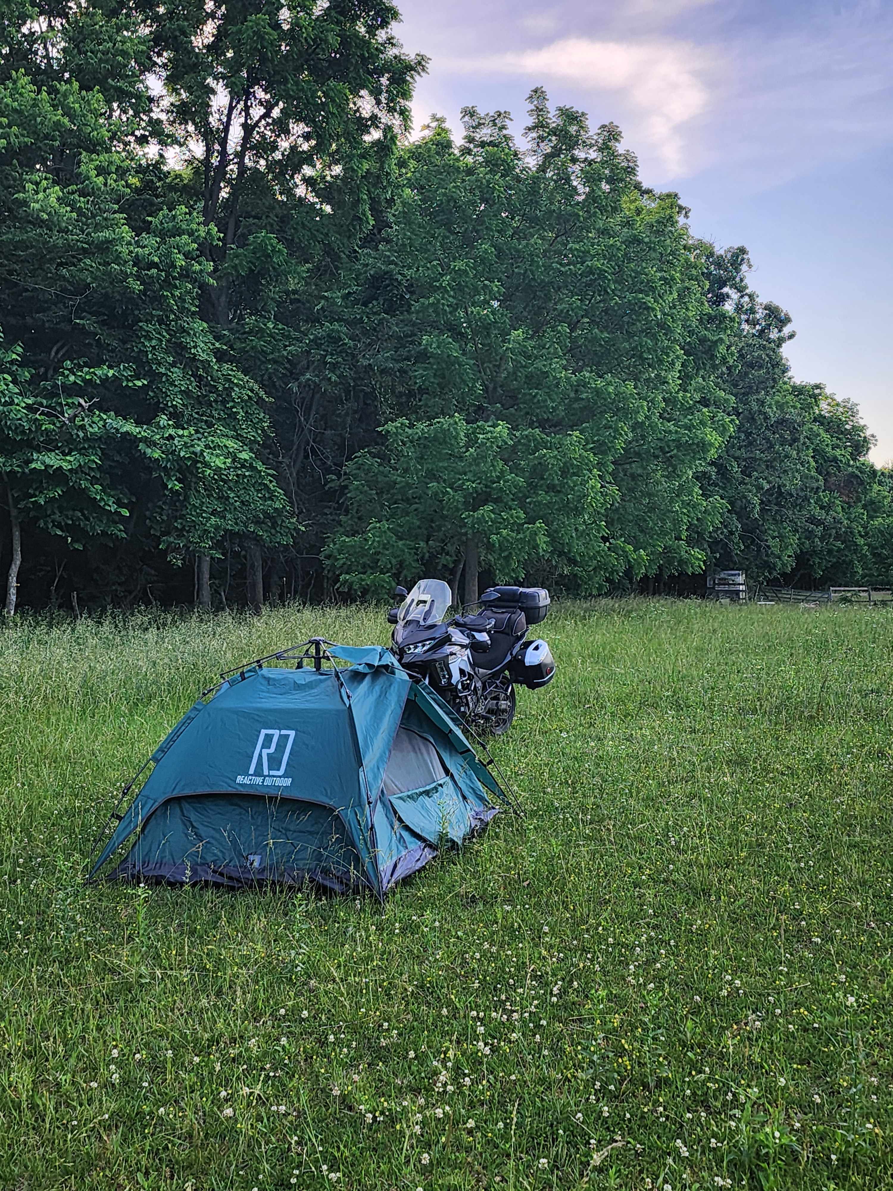 Camping in a Meadow