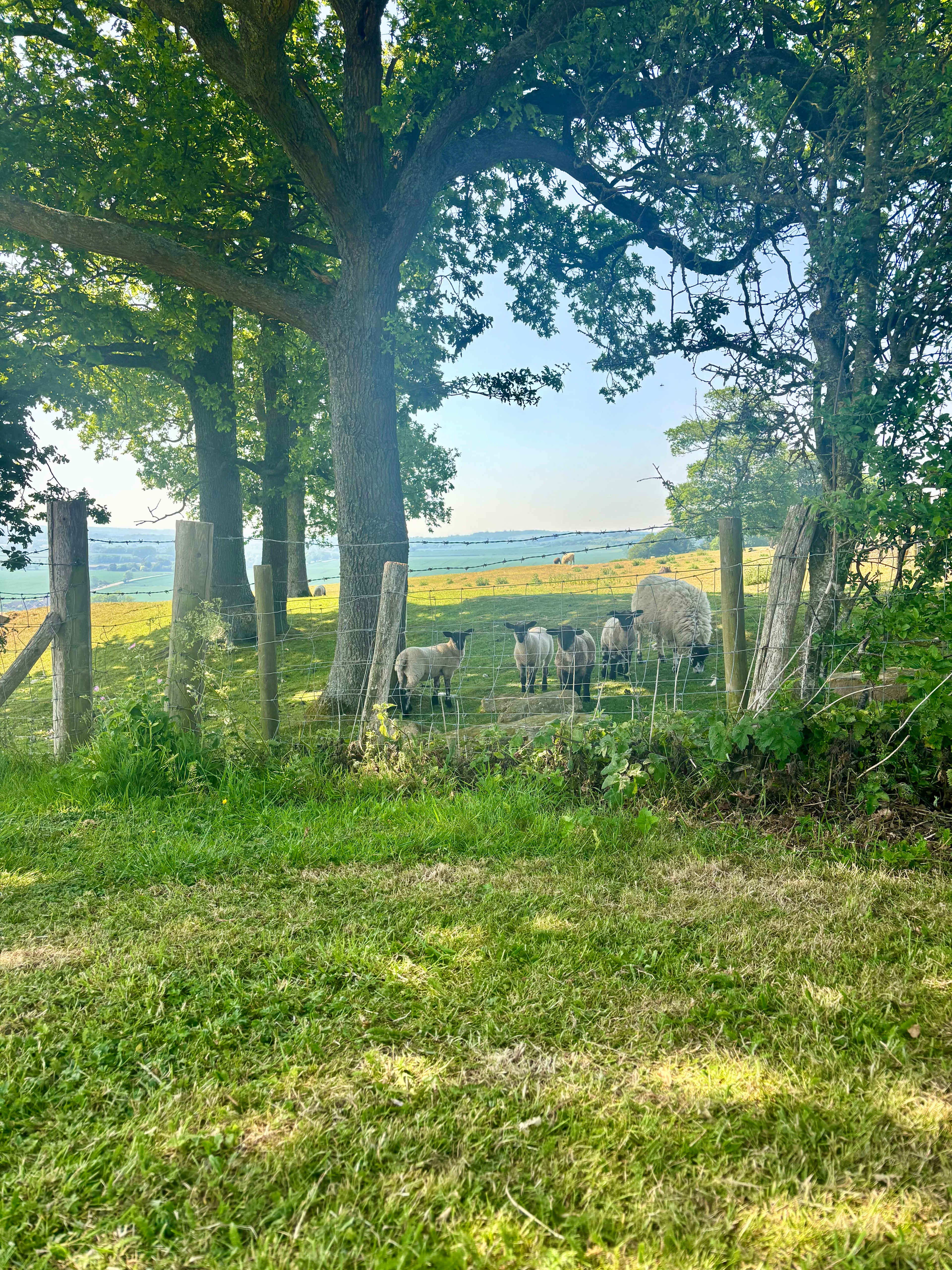 Hill Top Farm Wild Camping