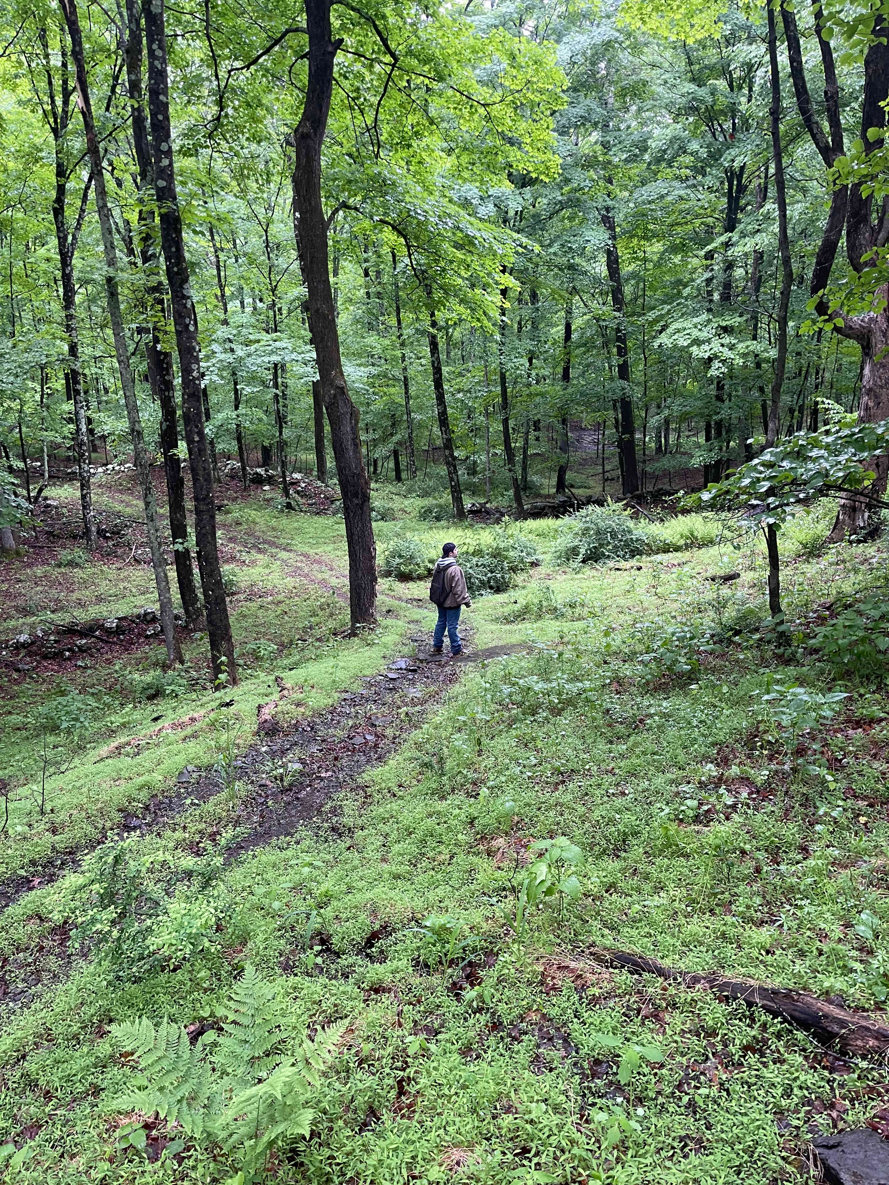 Trails