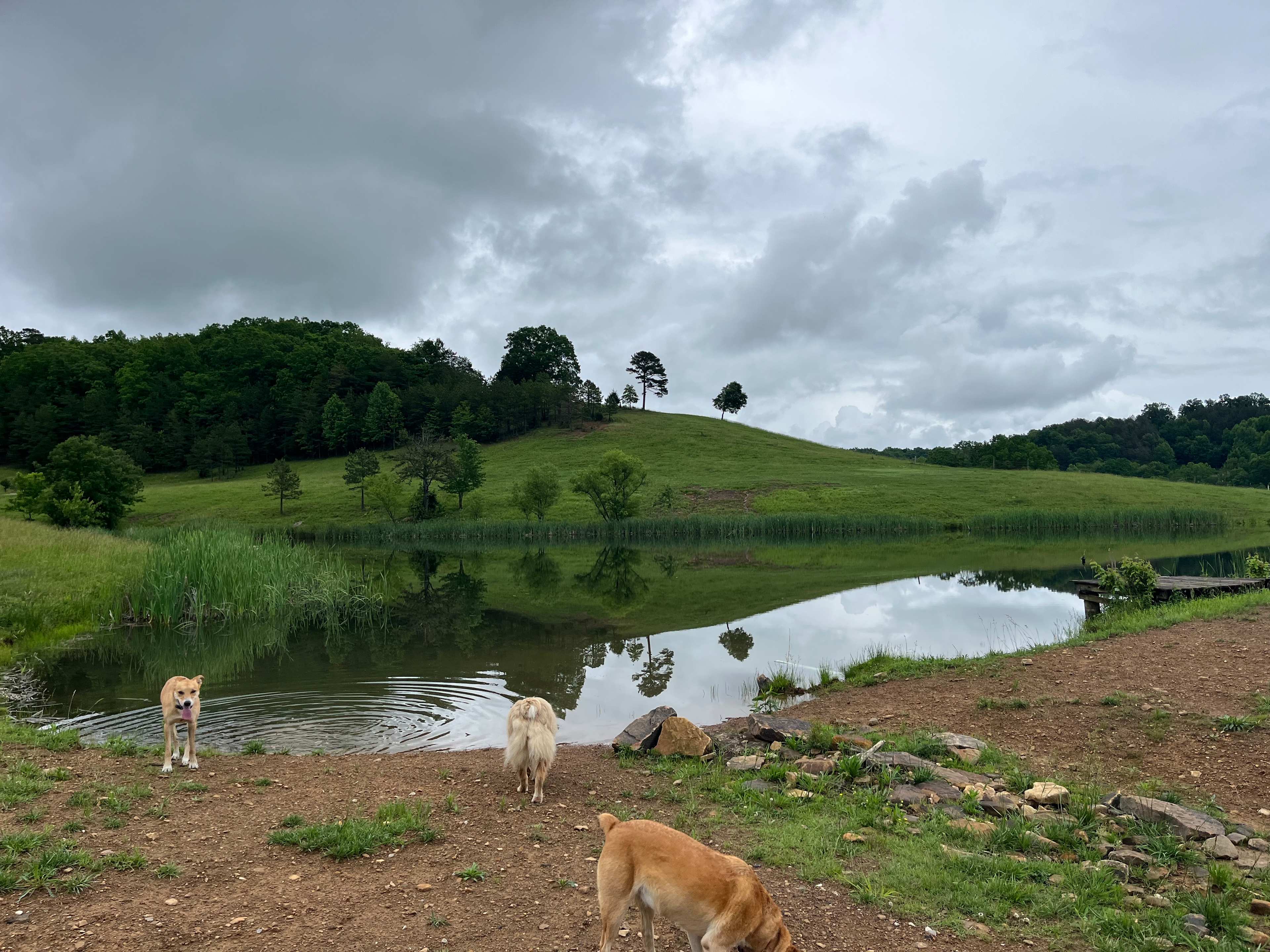 Picture of the site