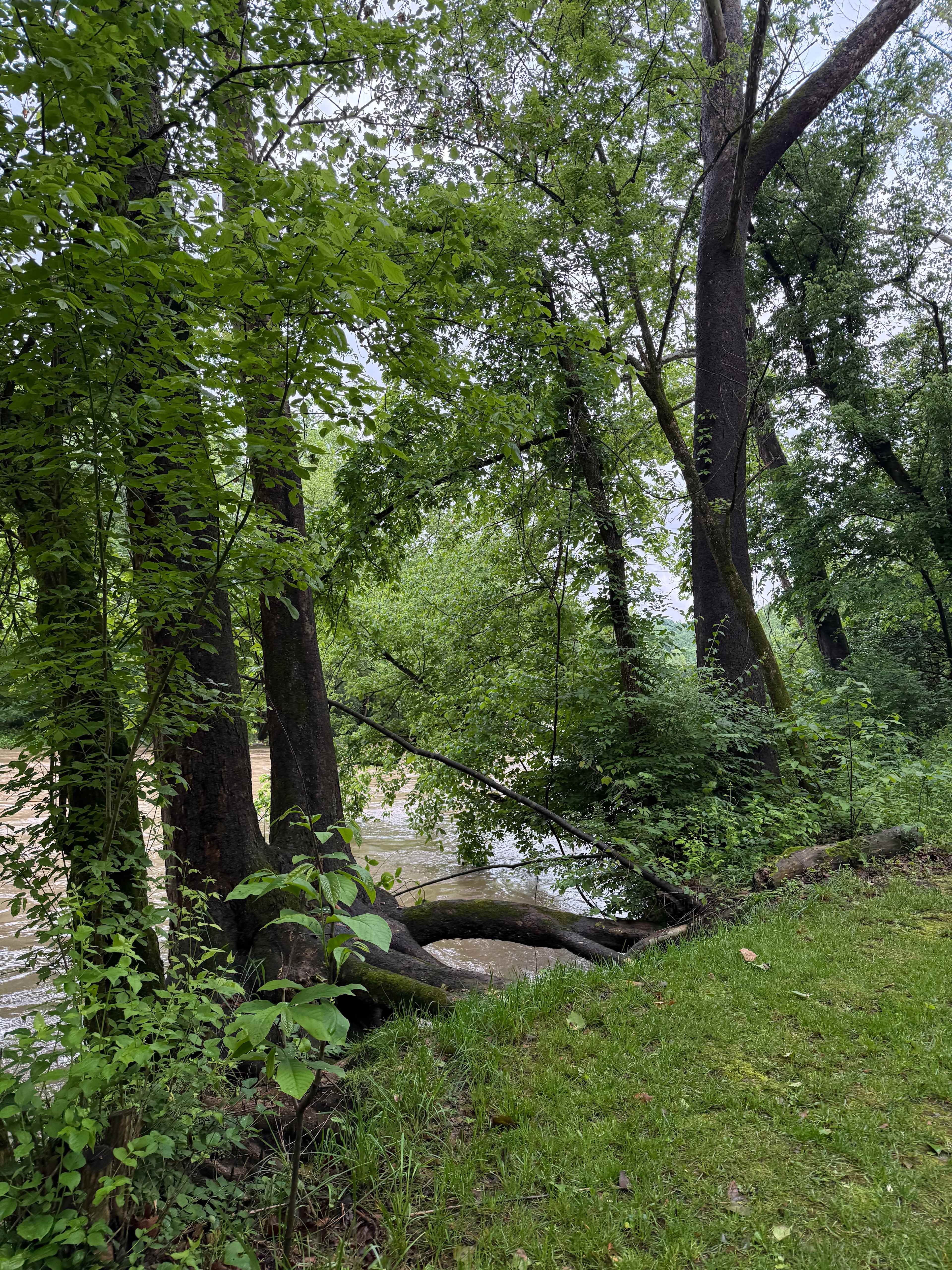 Cabin and Tent Camping On The River