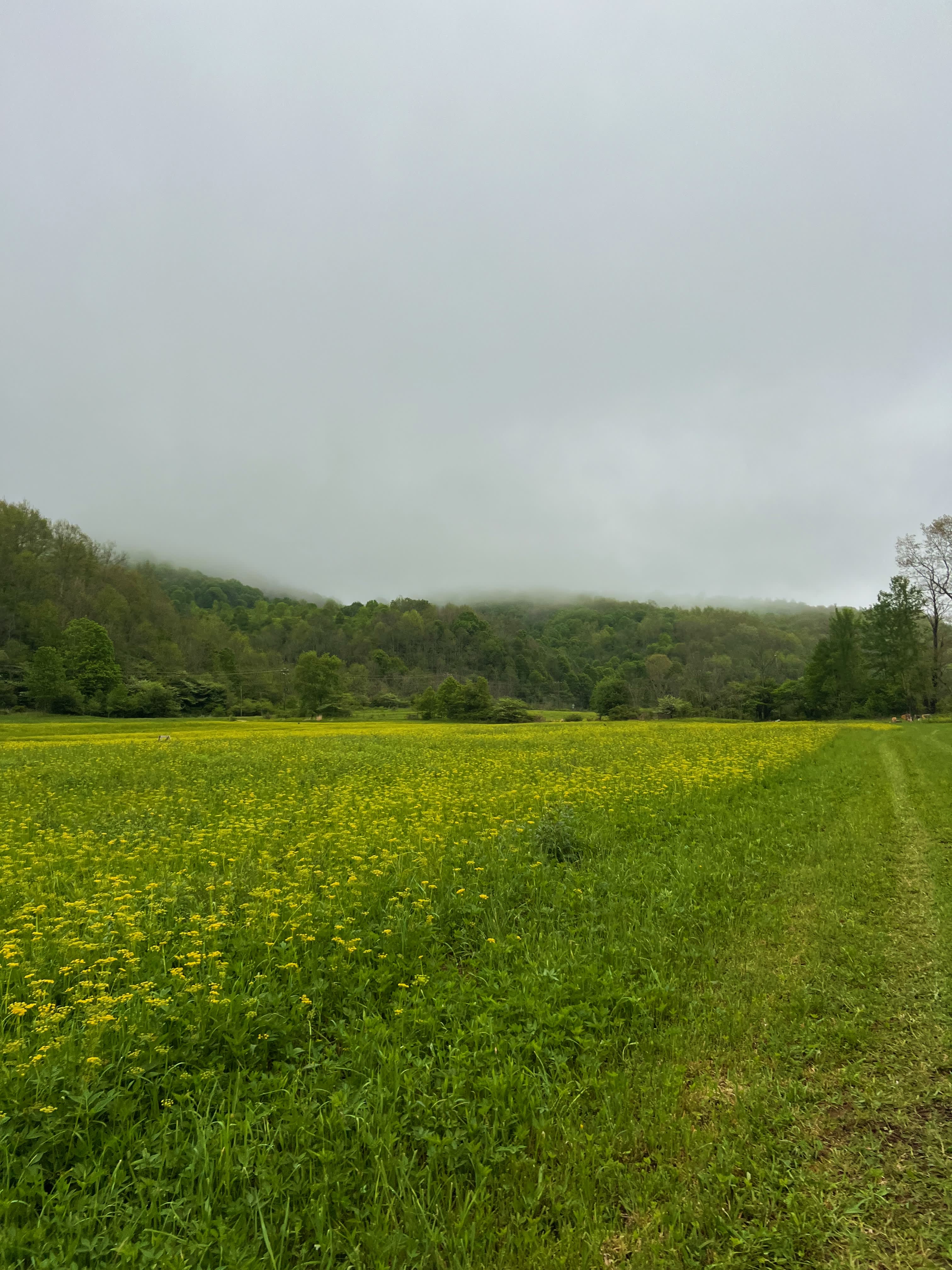 Snowshoe Valley Farms & Camping