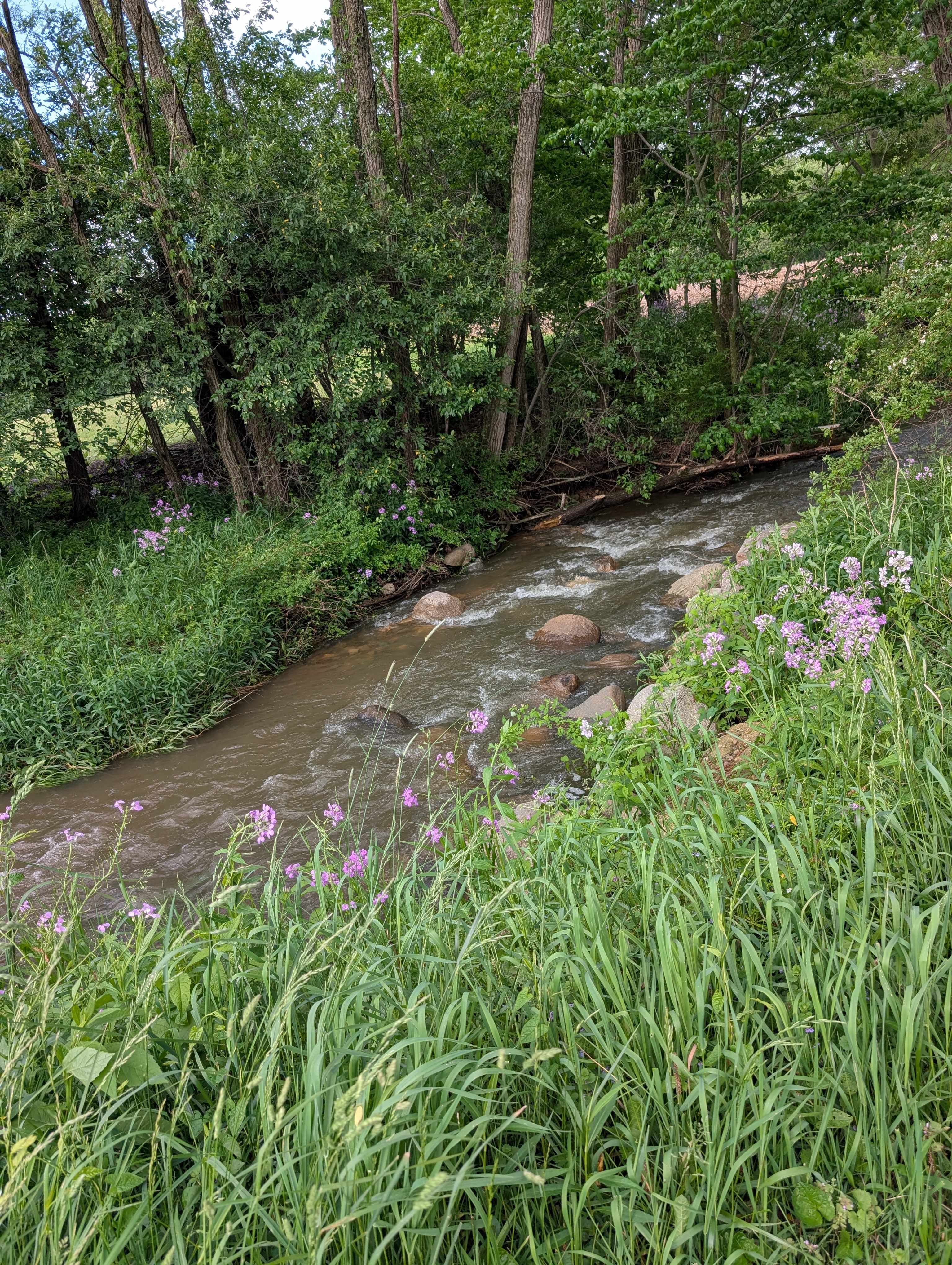The Pleasant Valley Farm