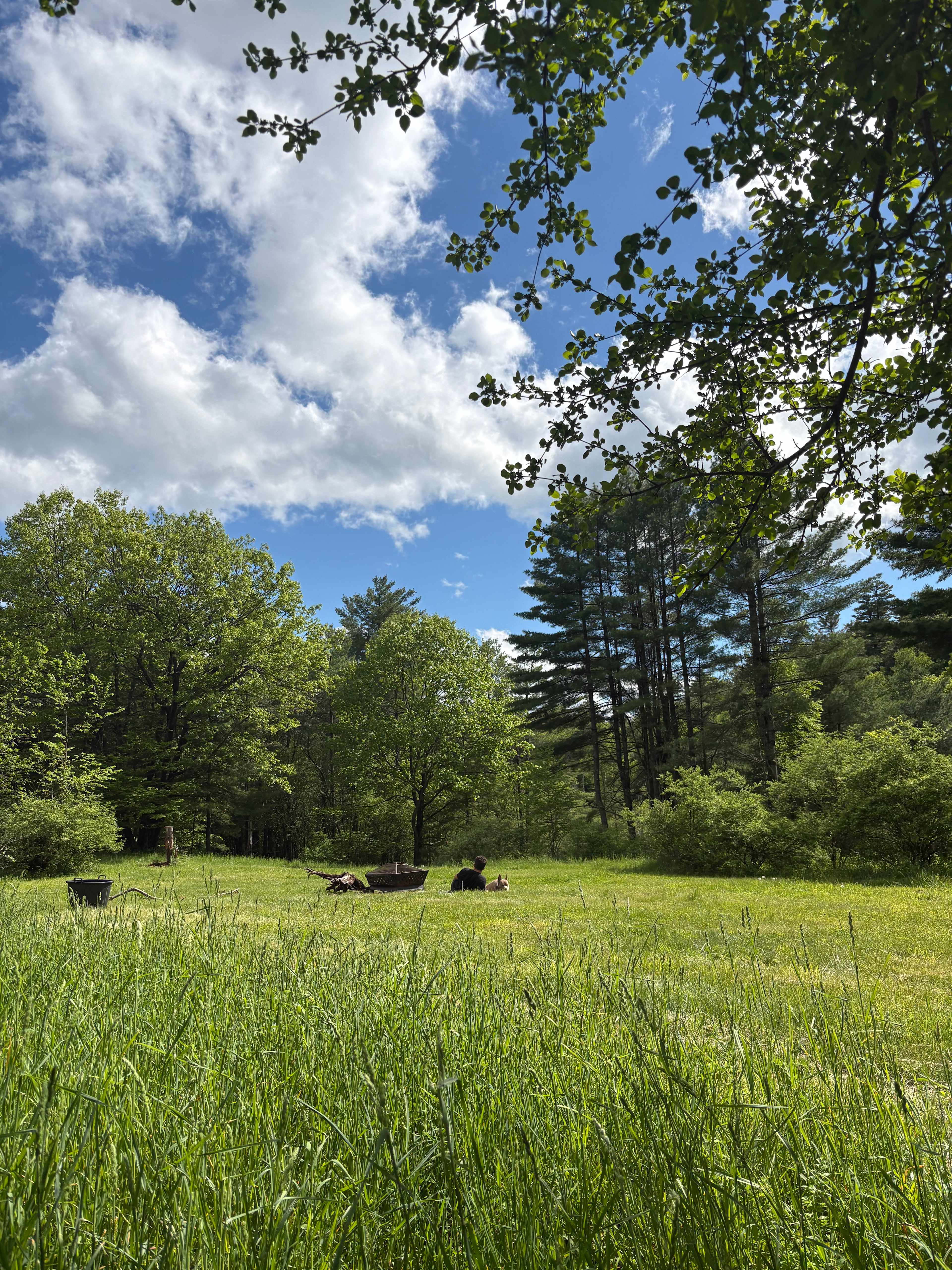 Fire pit and field 