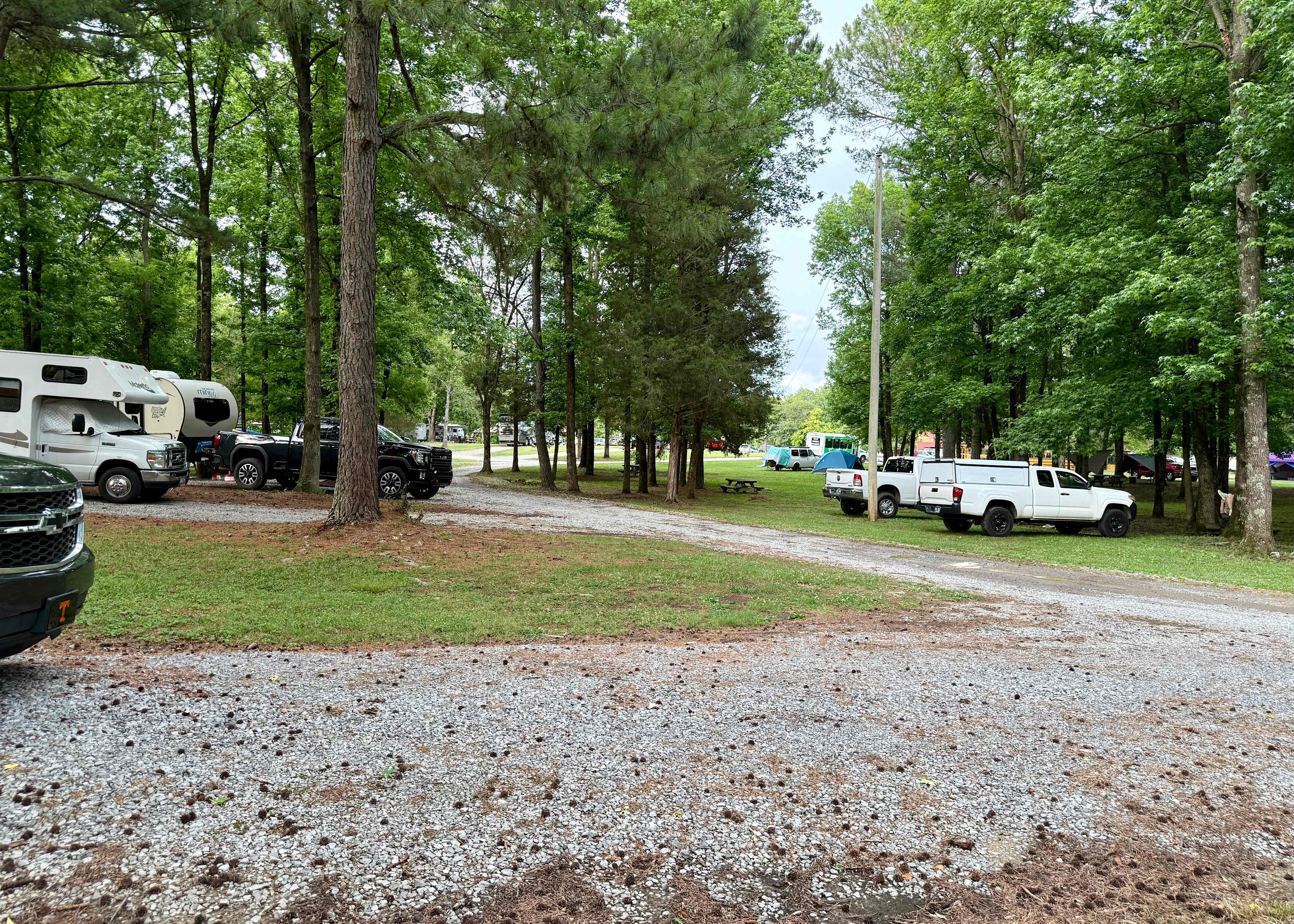 Picture of the site