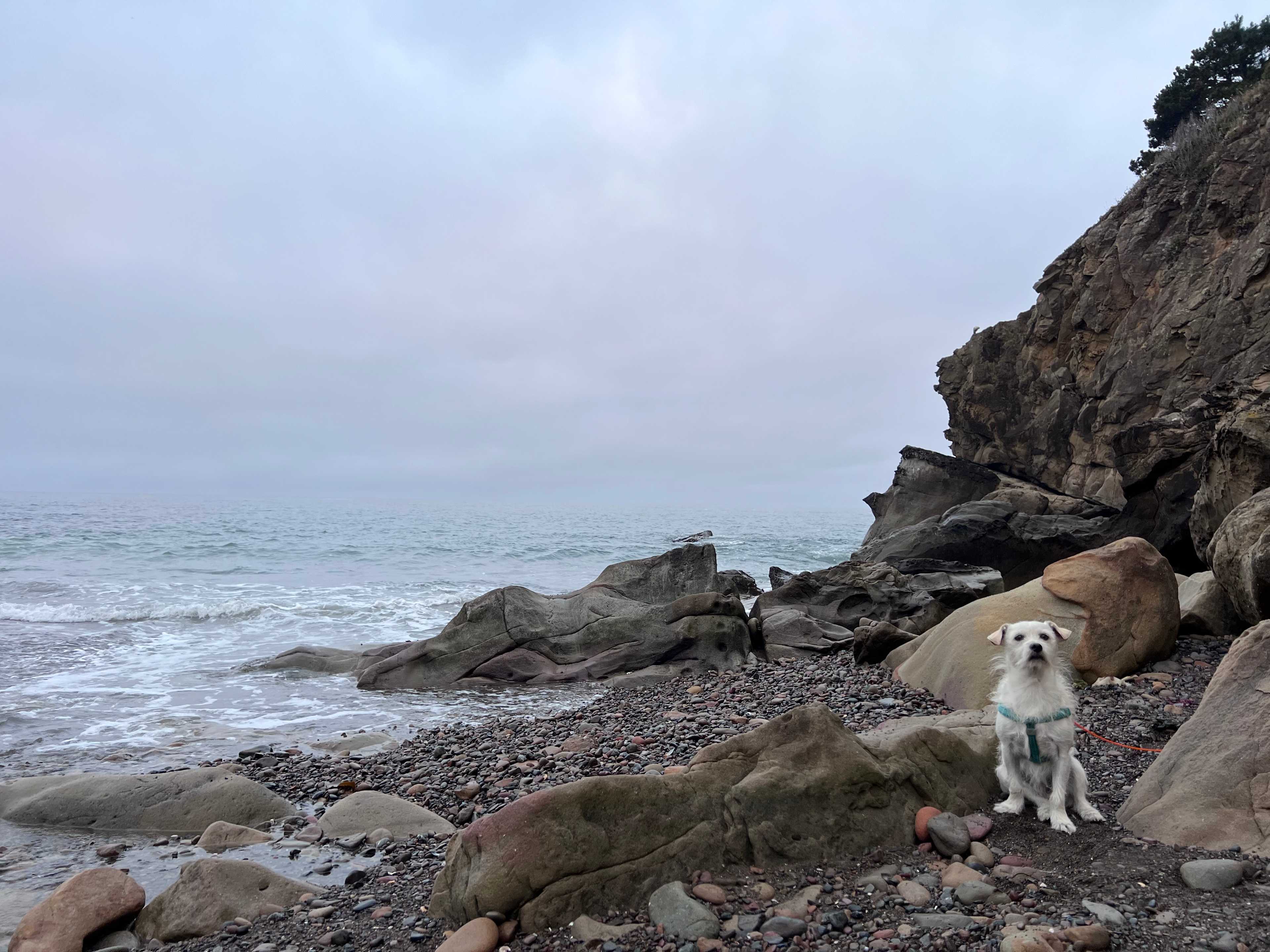 Timber Cove Campground