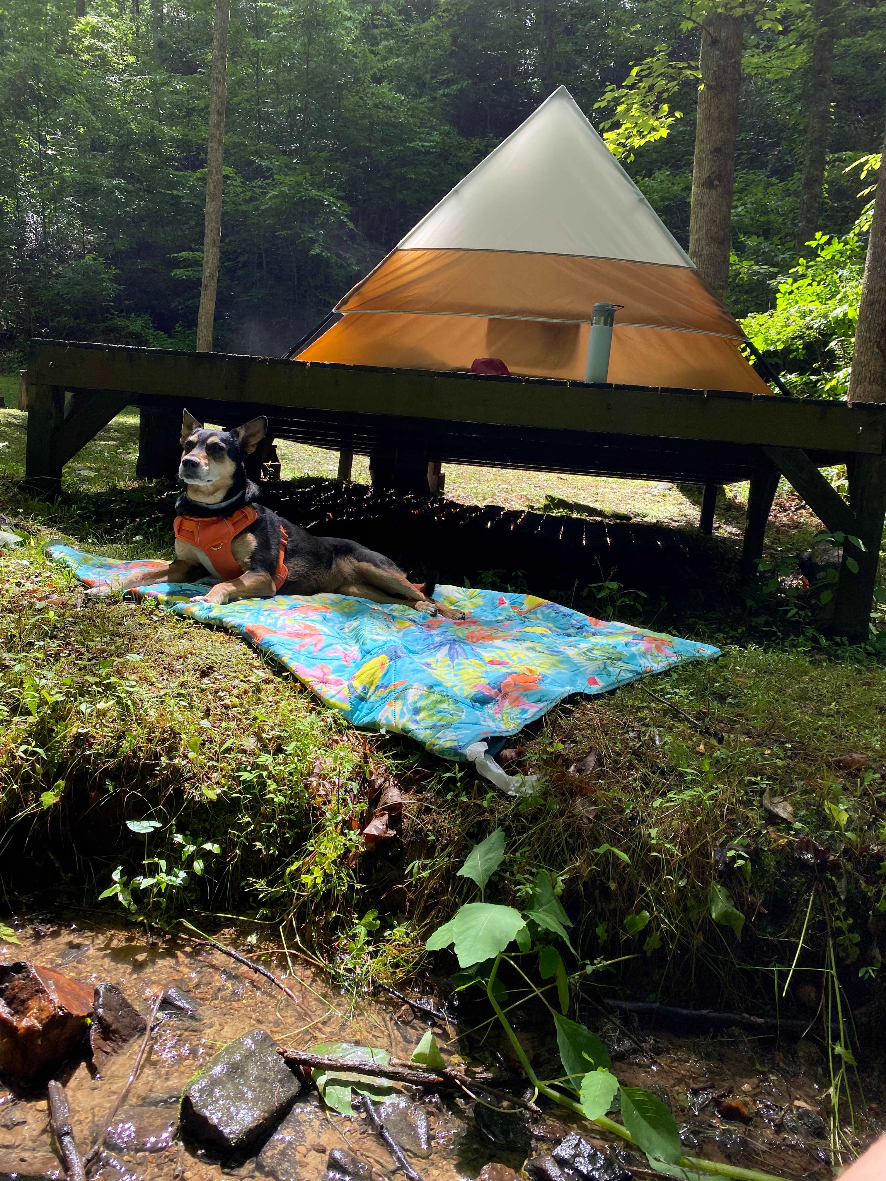 Gorgeous Stays Glampground