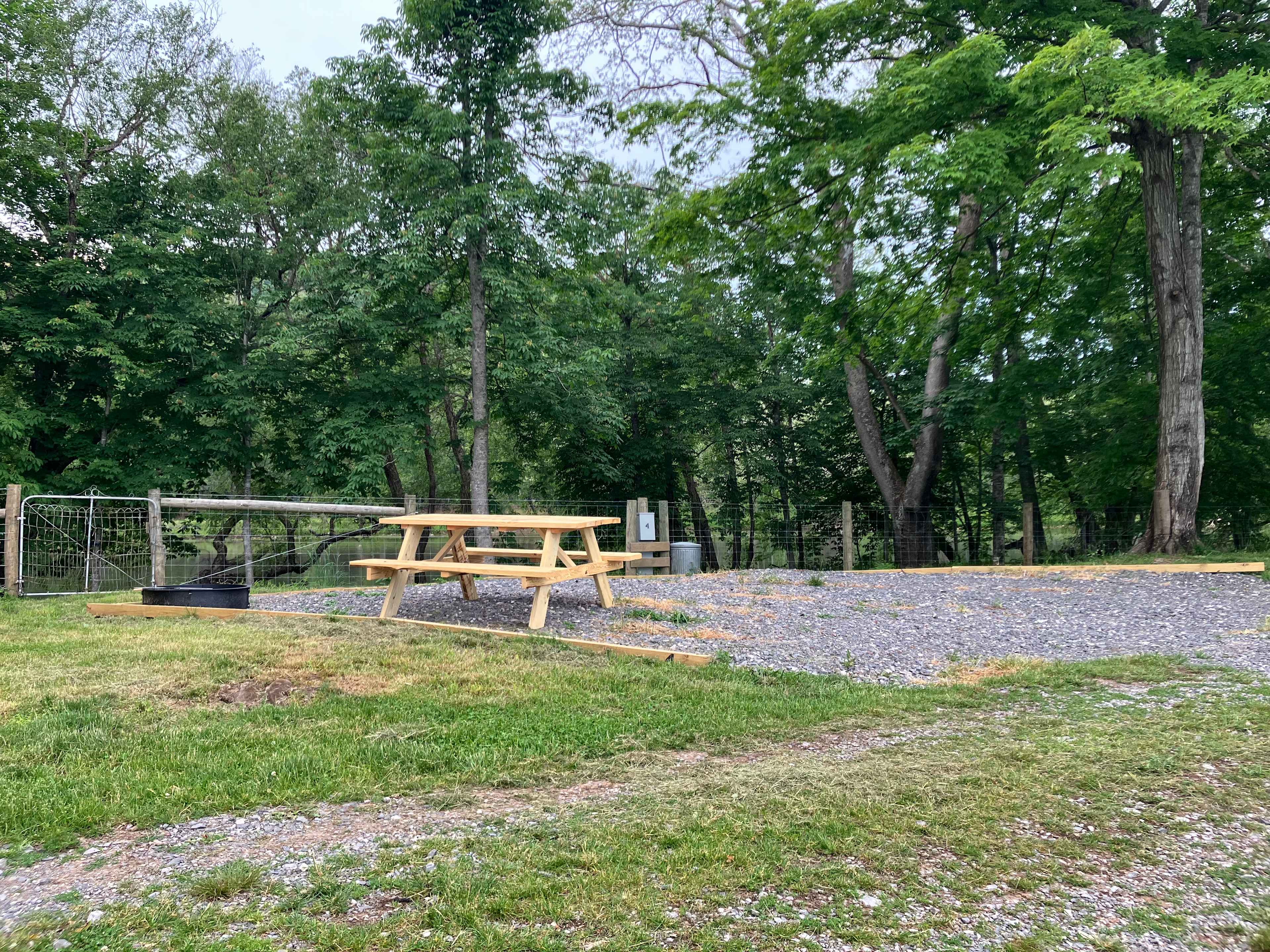 Picture of the site
