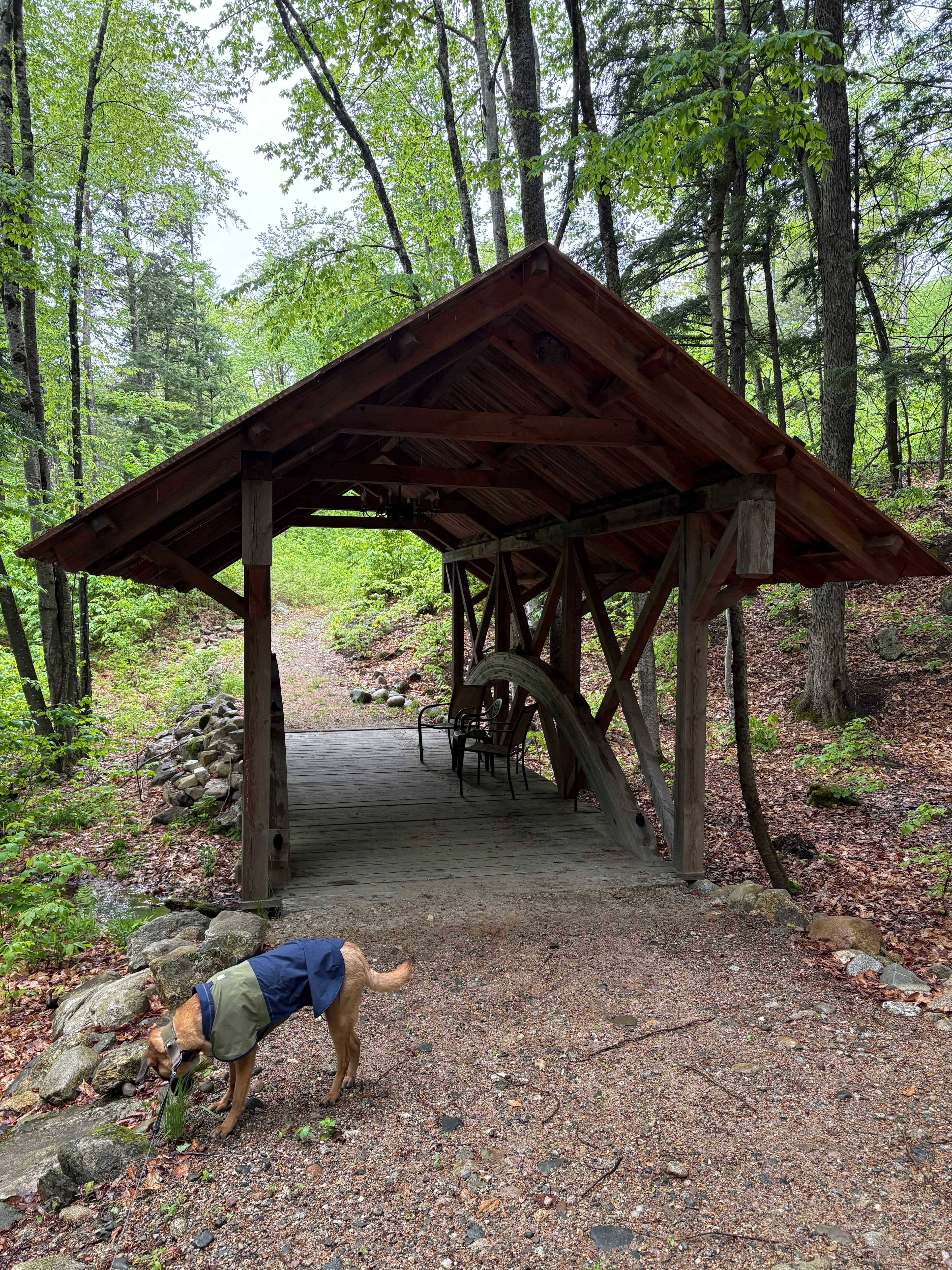The covered bridge on the walking trails, built by hand!