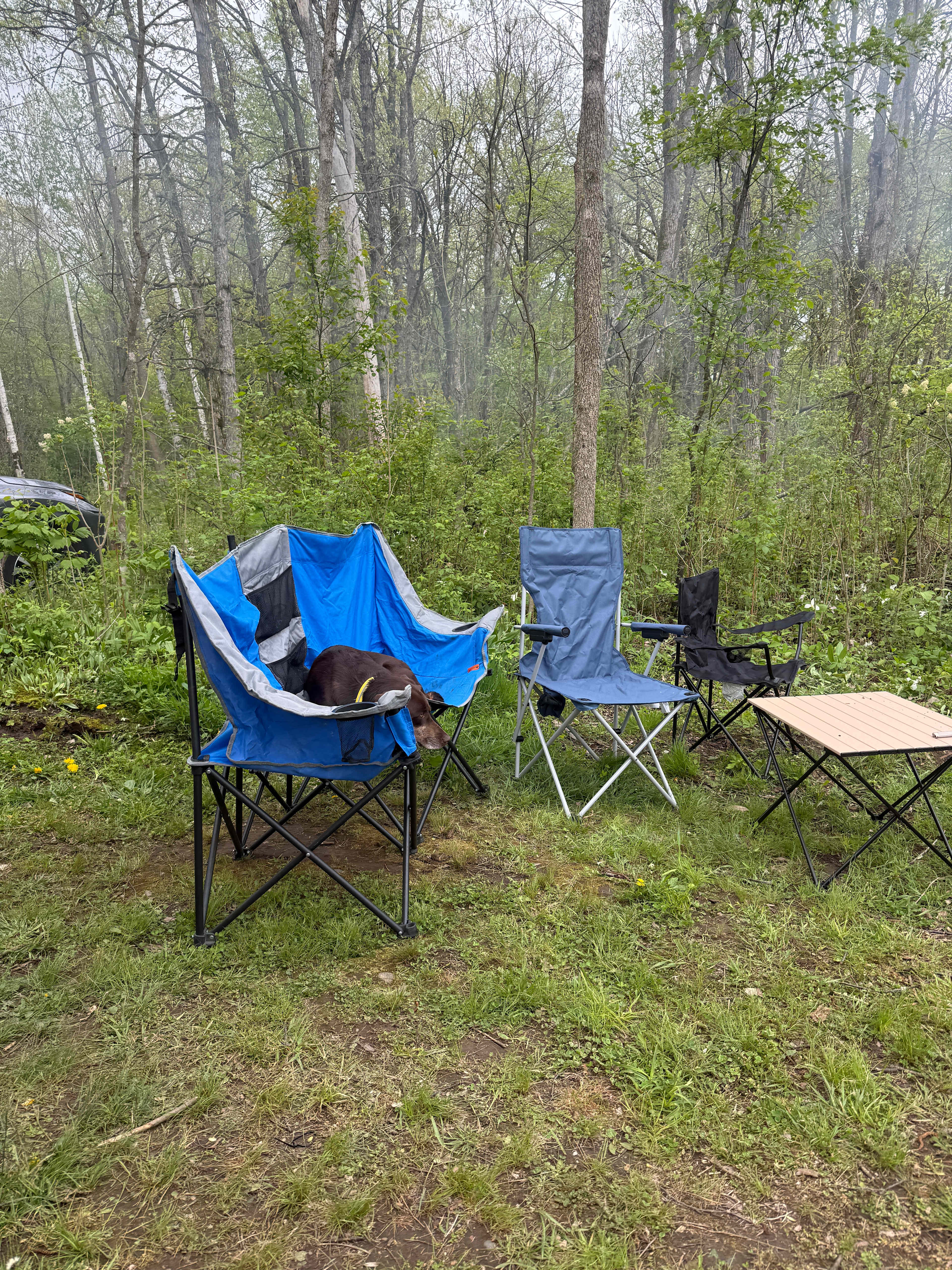 The Camps at the Vineyards
