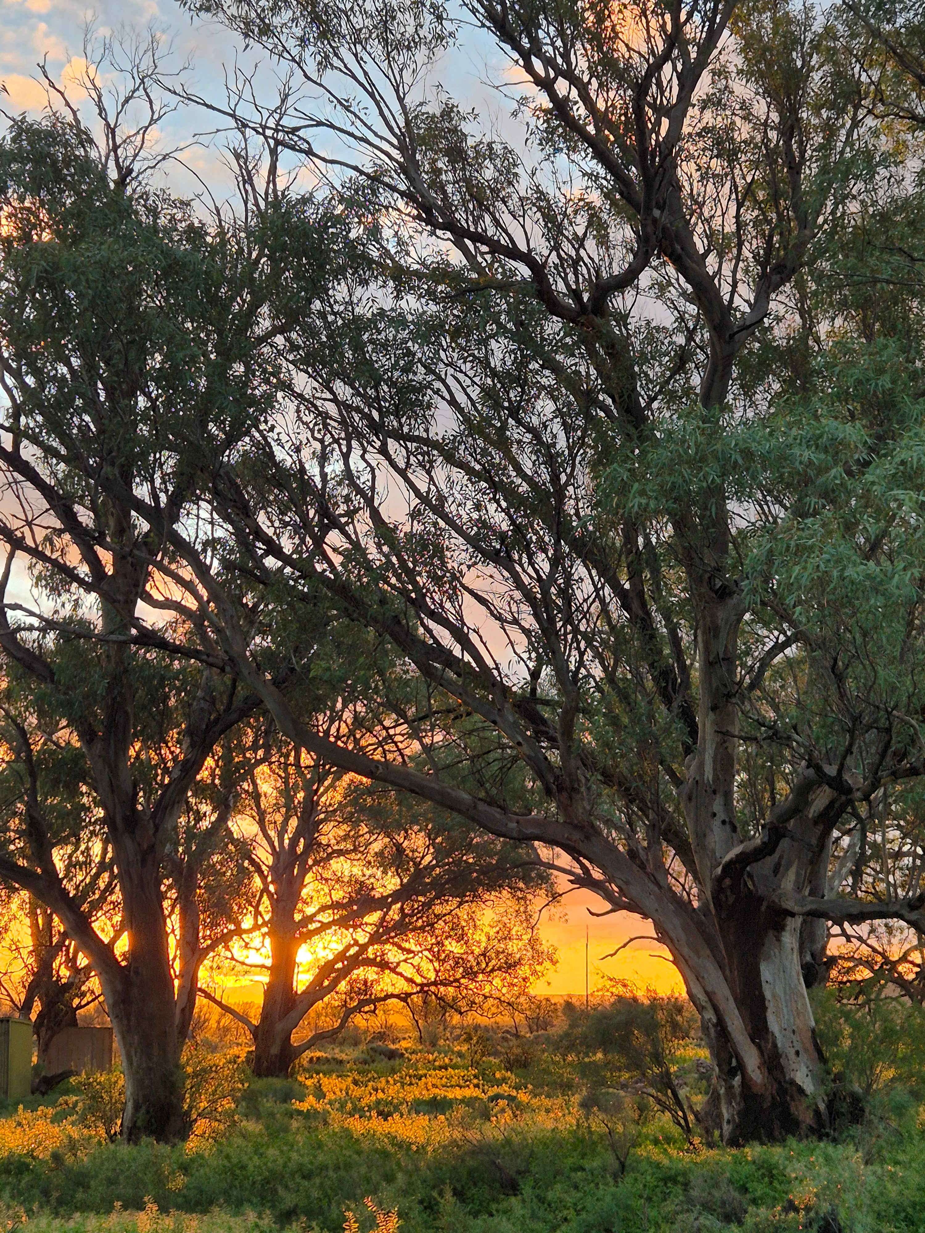 Sunset after rain. 24/5/26