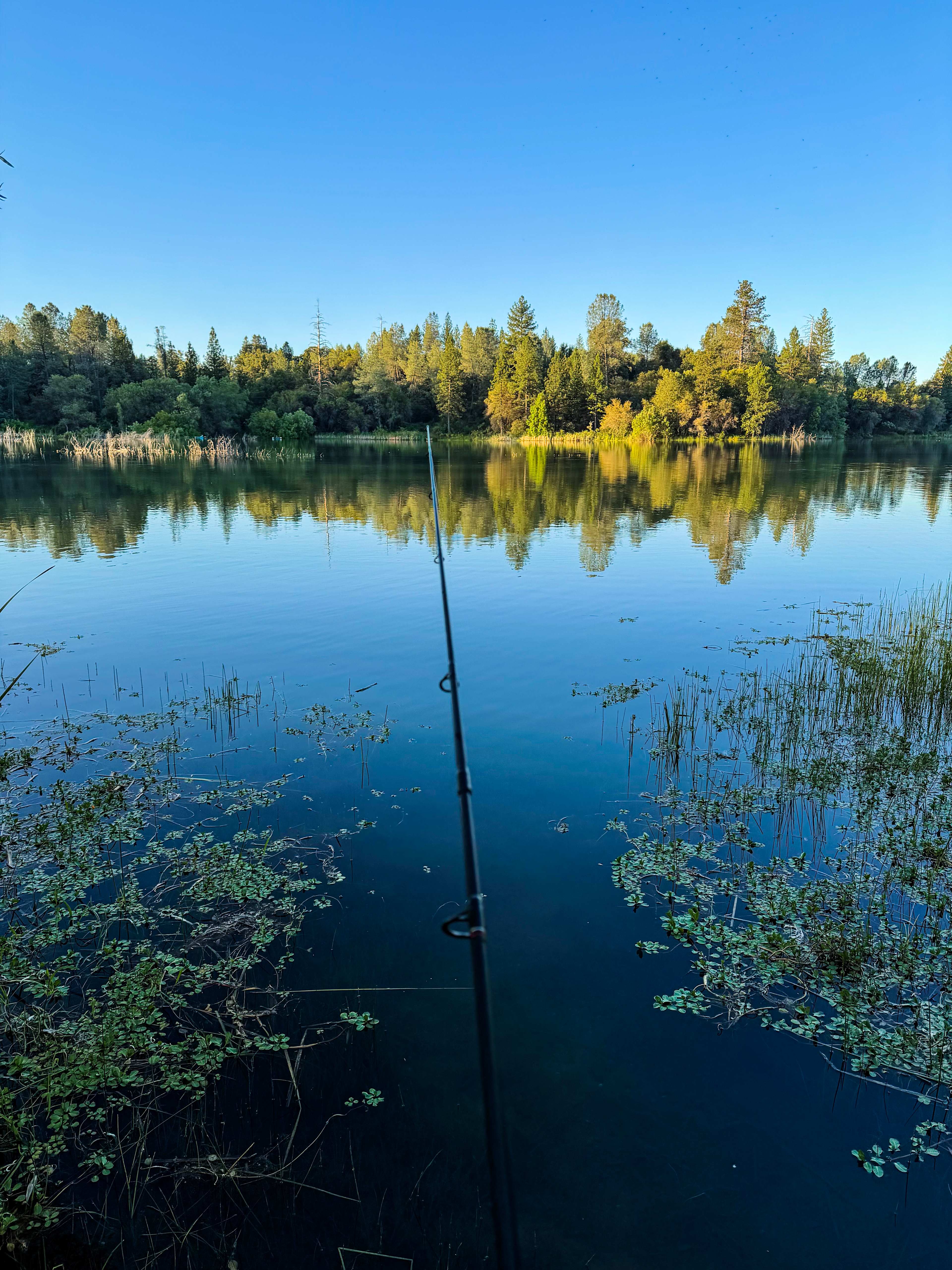 Finnon Lake Recreation Area