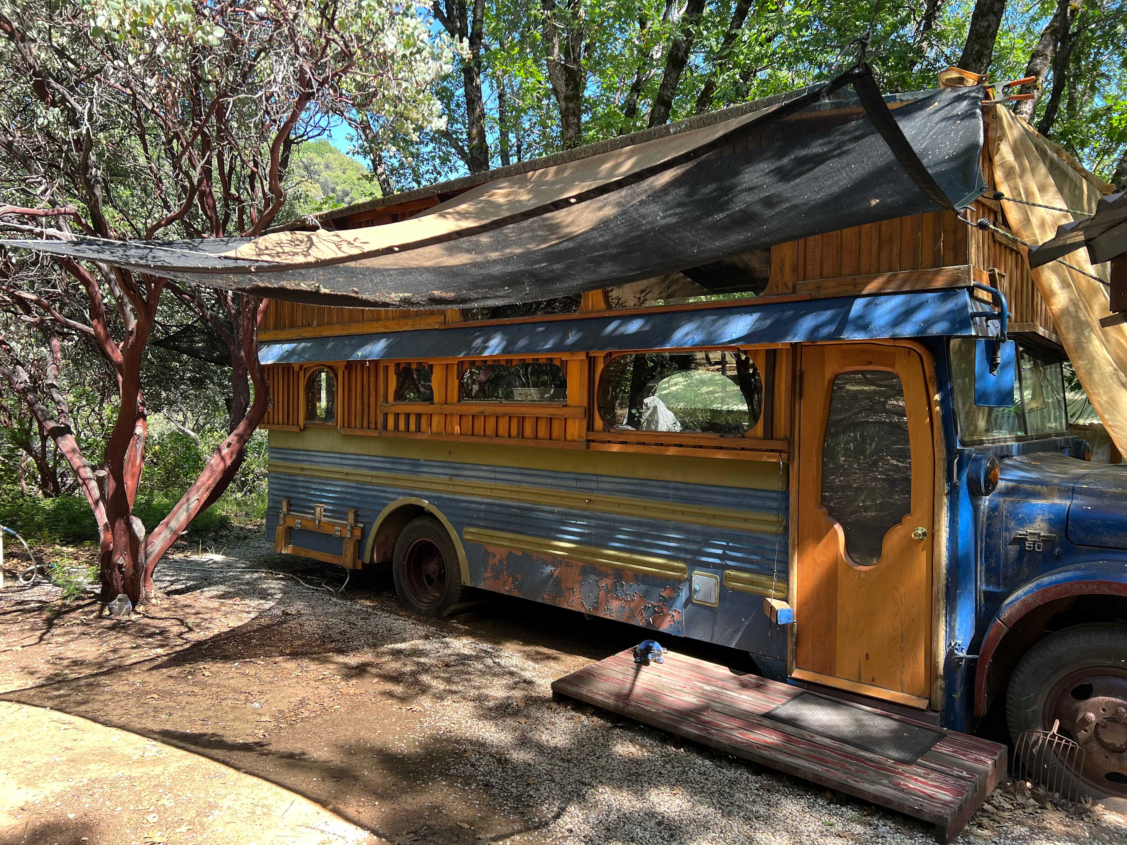 The bus!