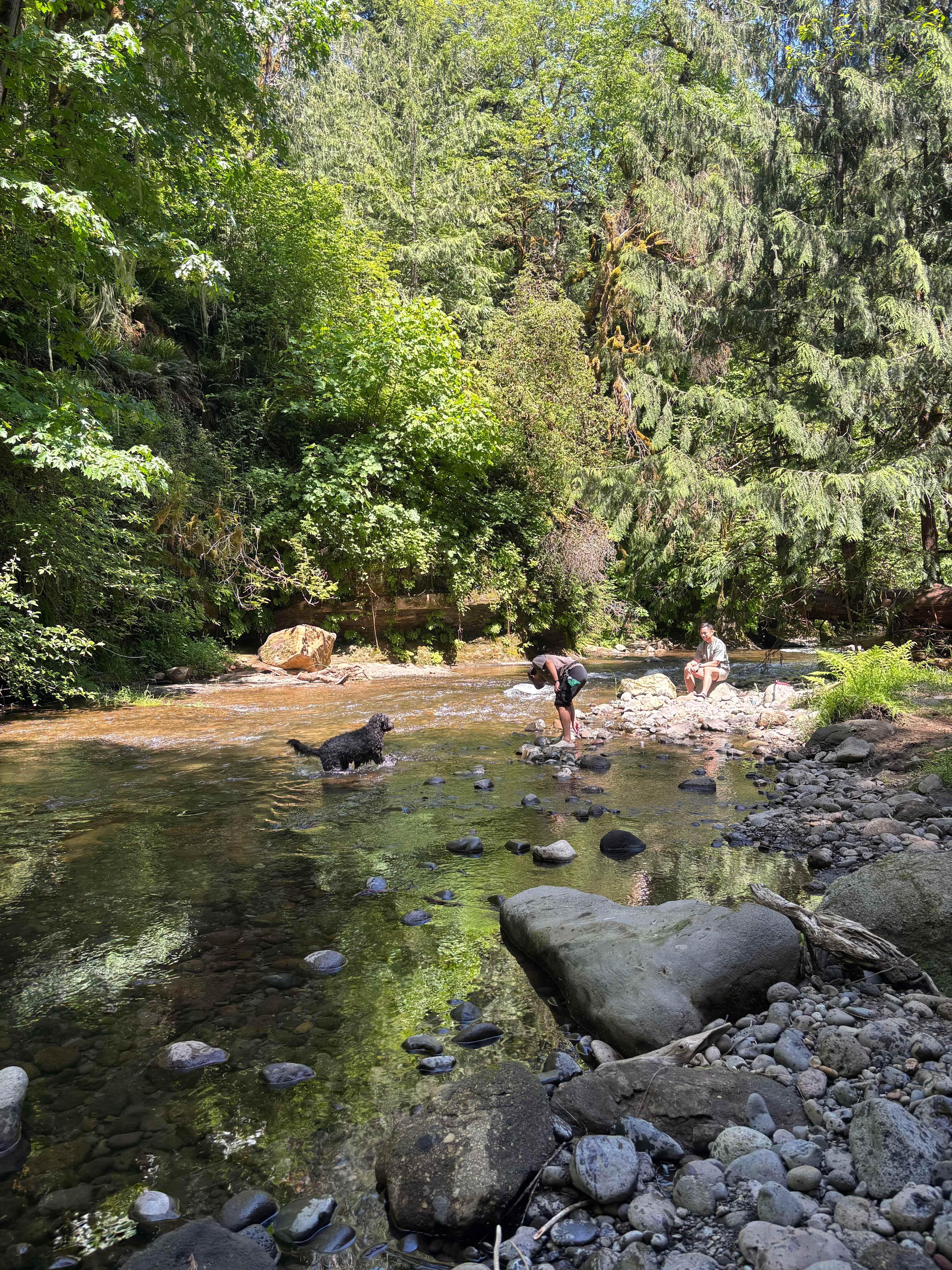 At the creek