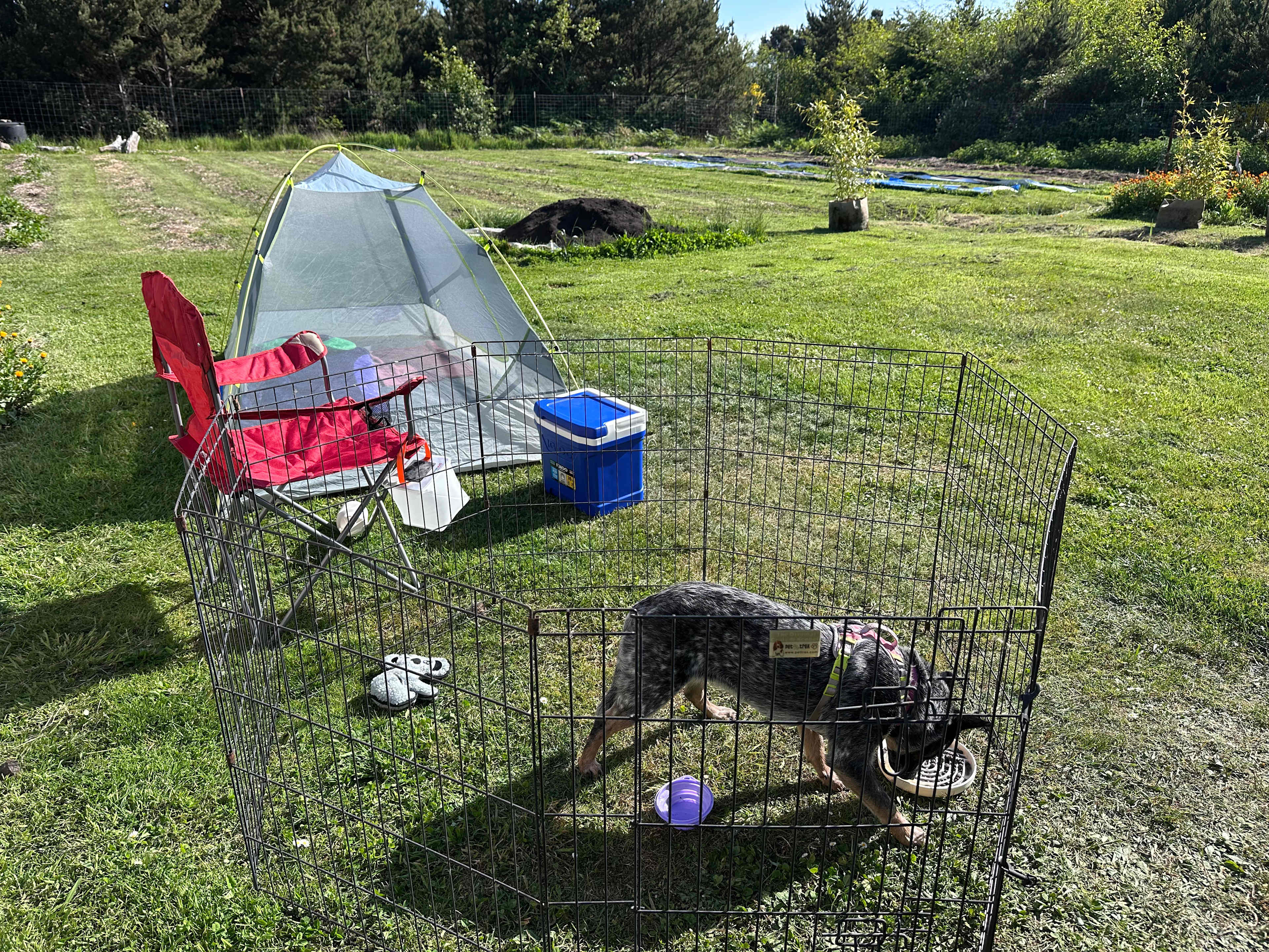 Coastal Farm Sanctuary