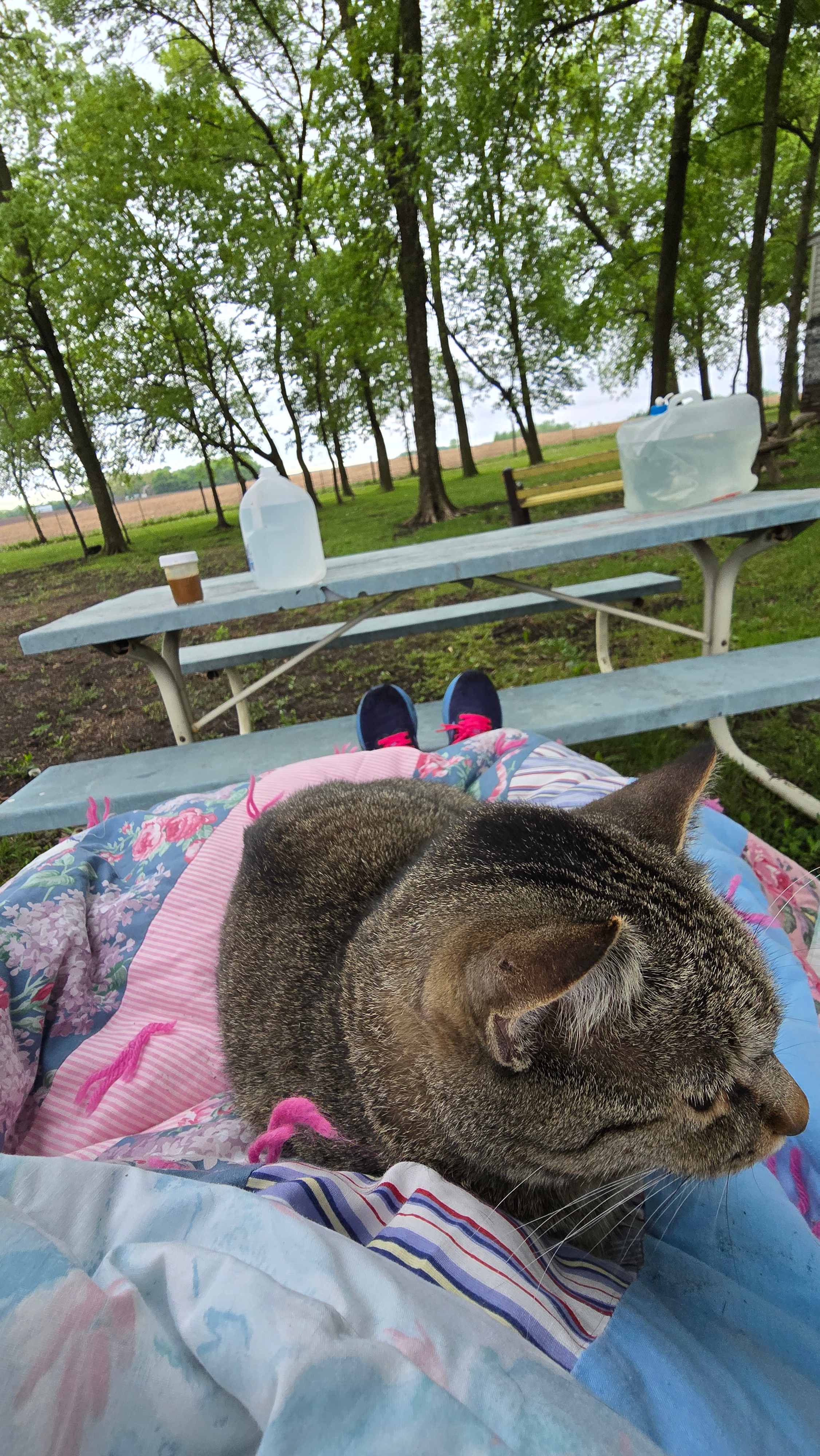Mn River Valley Sanctuary