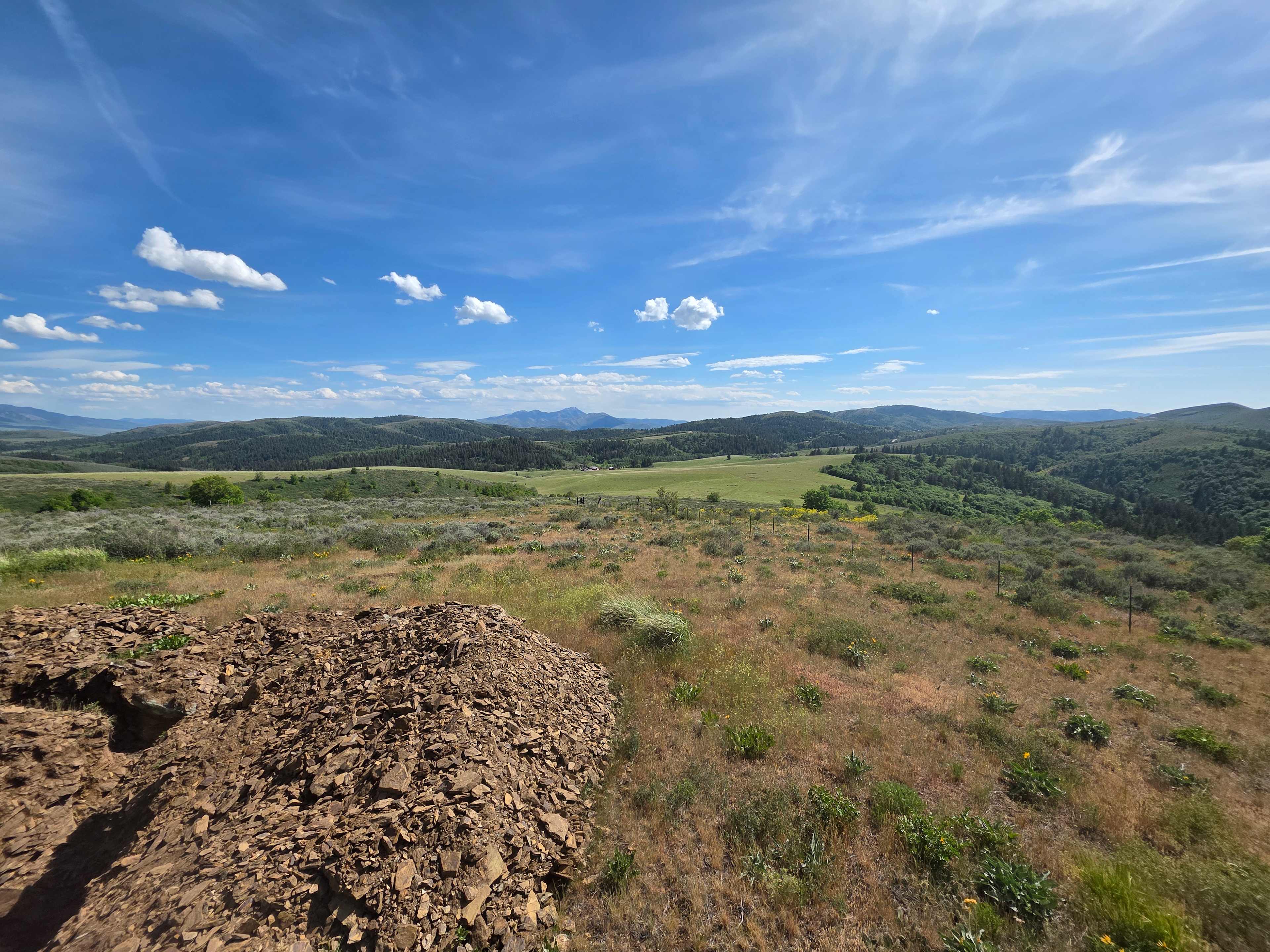 Moonlight Mine Acres