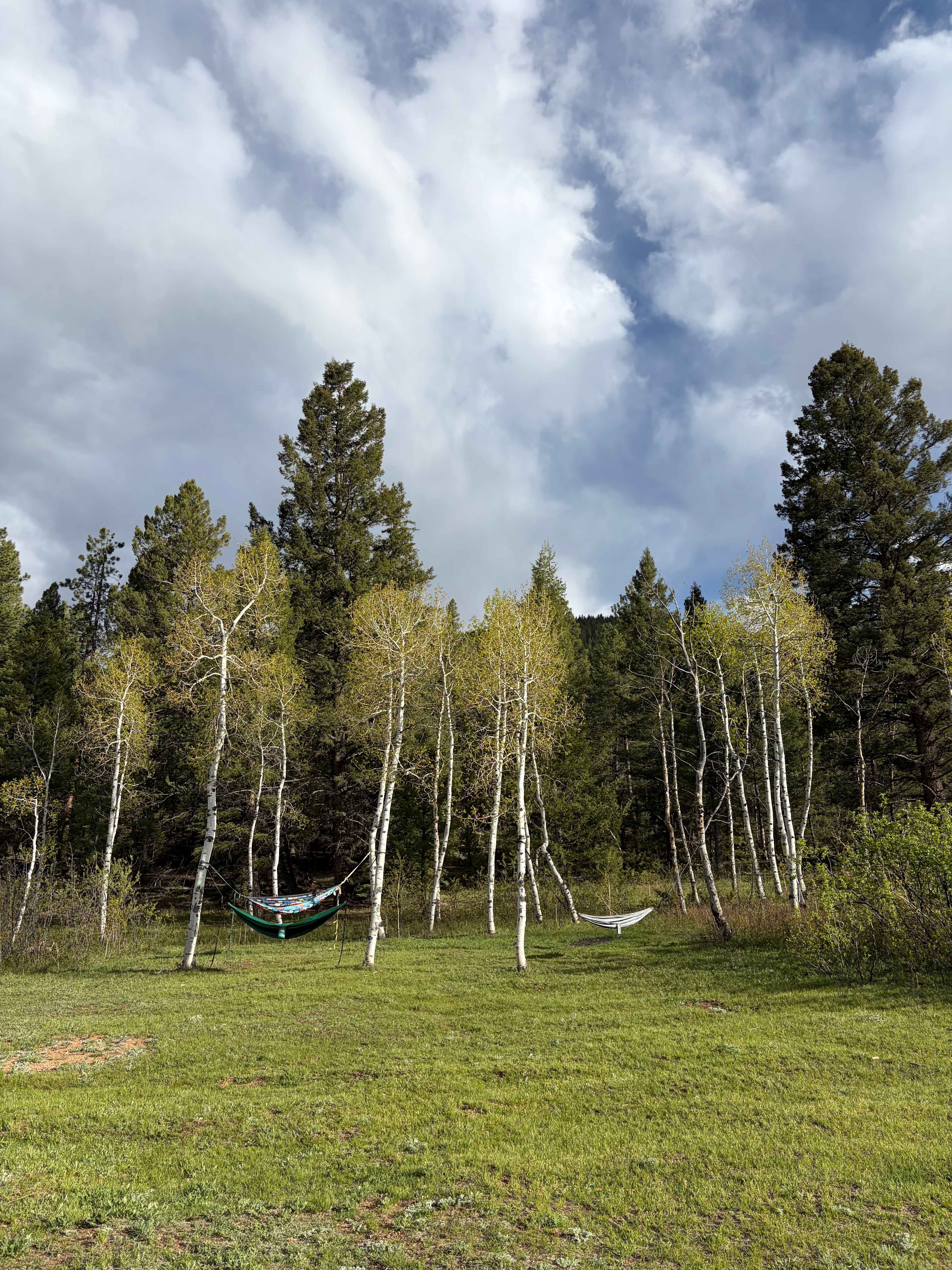 Rustic Creek Ranch