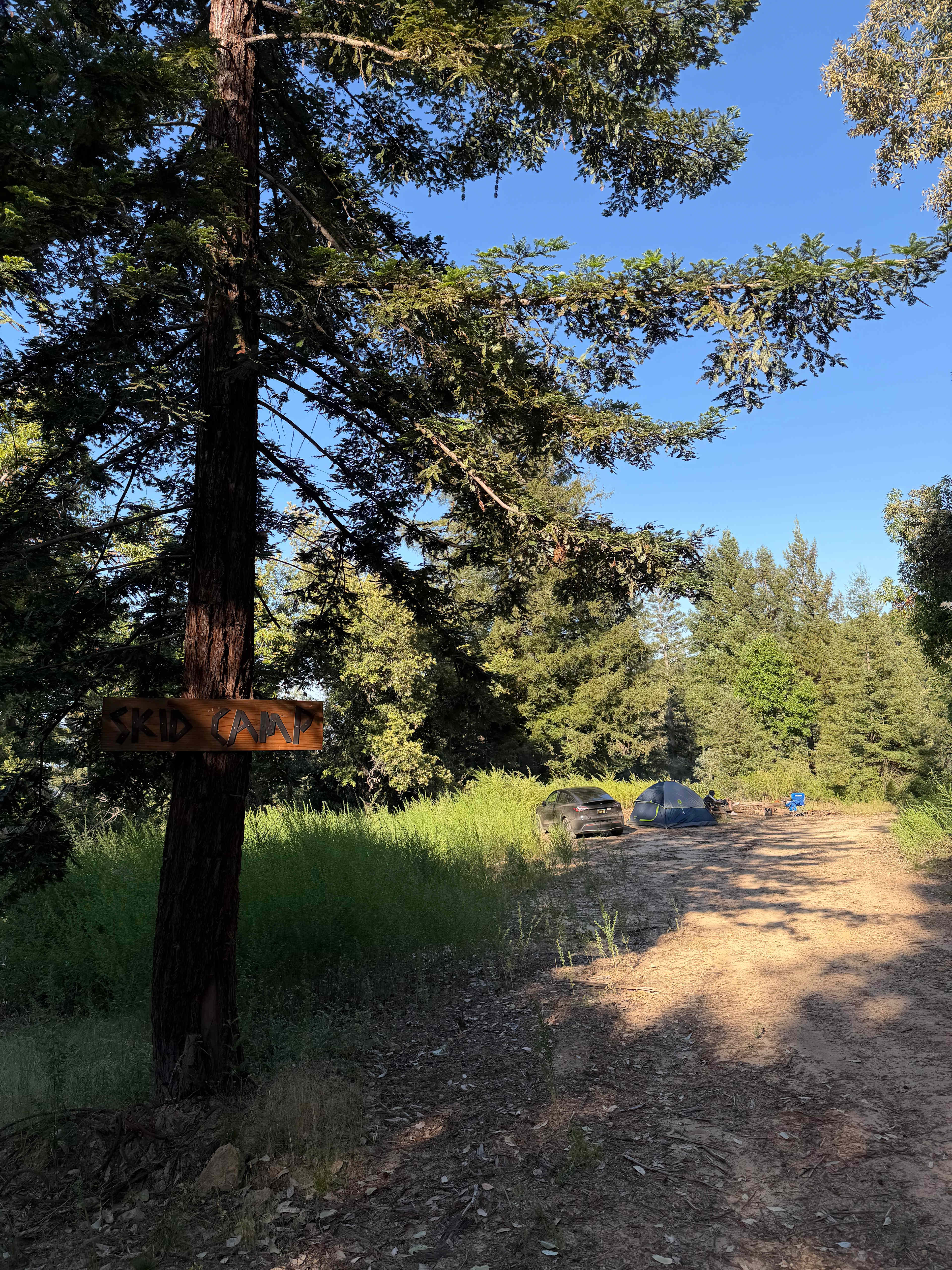 Camp Rewilding