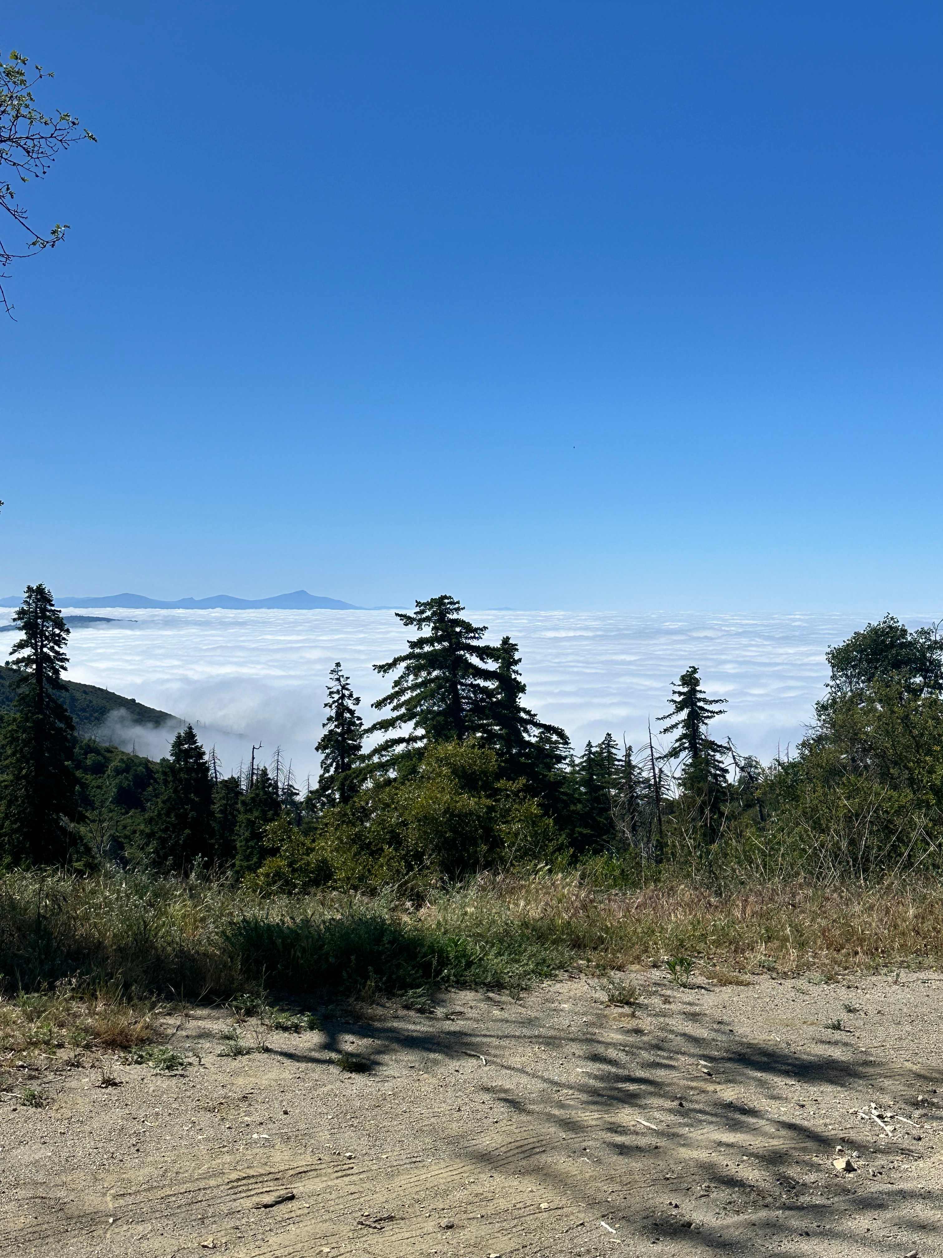 View from Palomar Mtn South Grade Rd