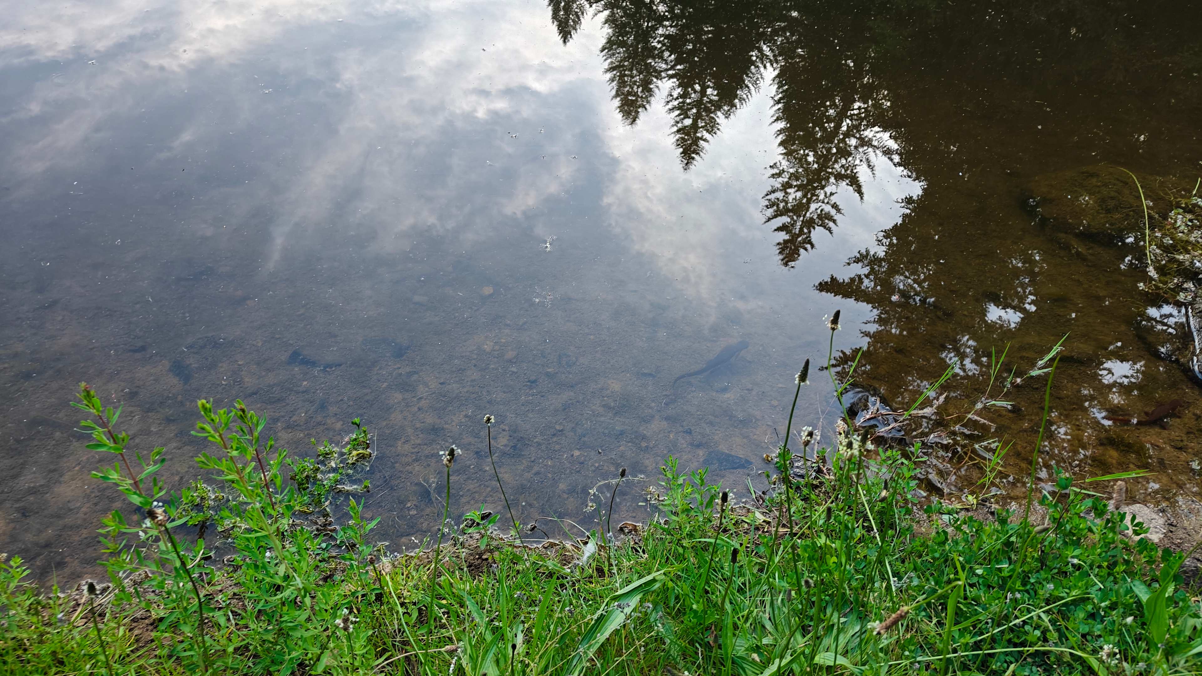 Reflections