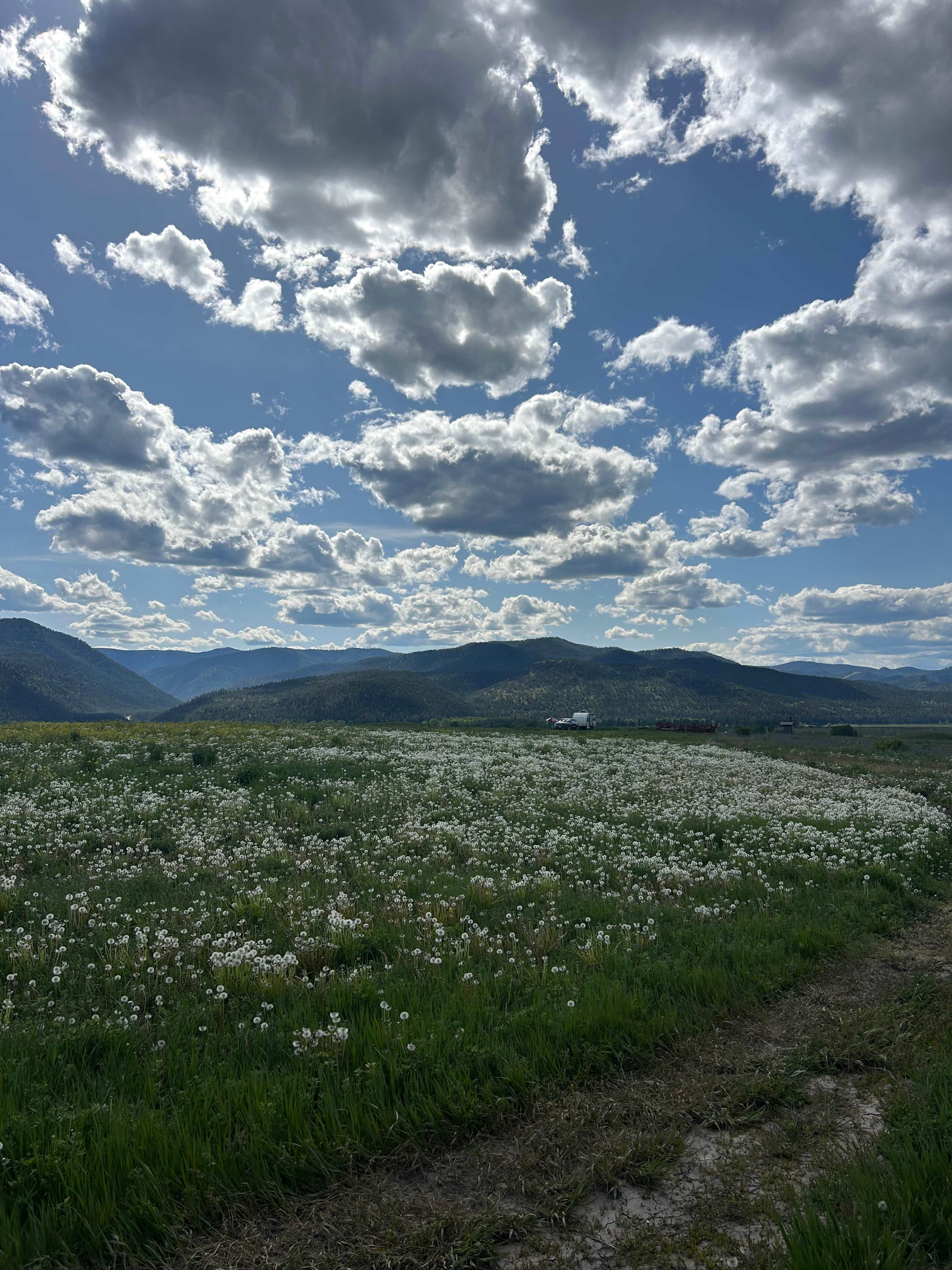 View from our site