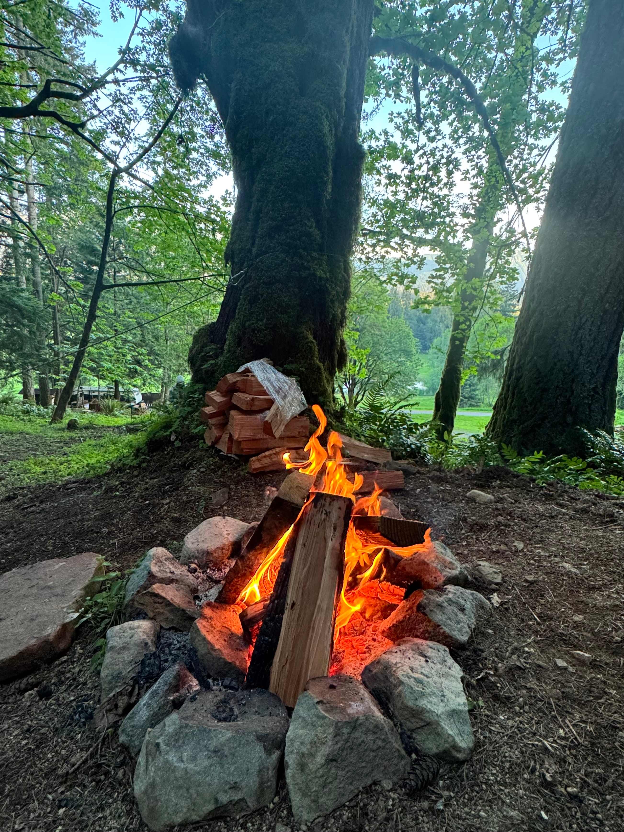 Easy access to firewood