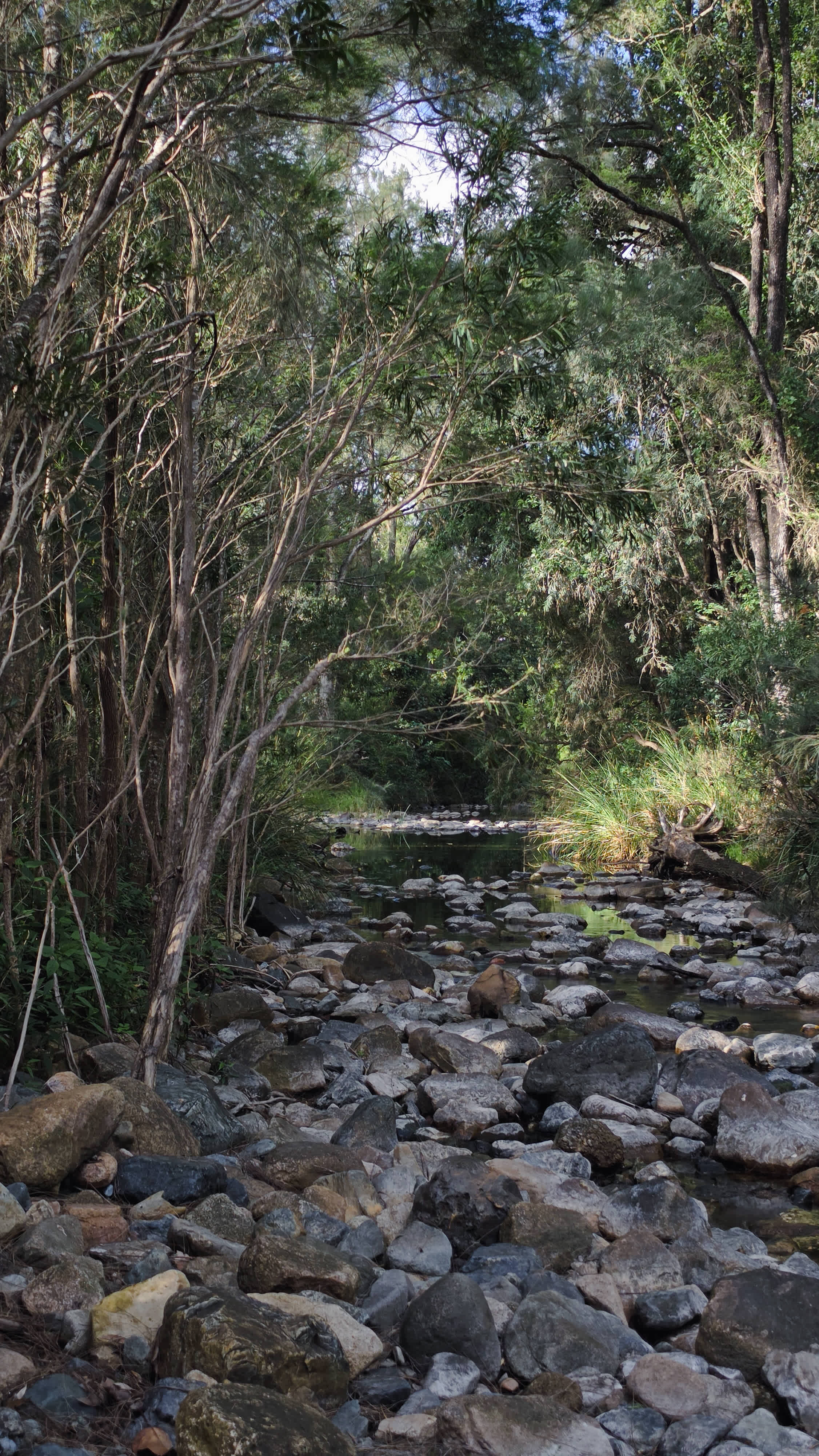 Bellbird Lodge