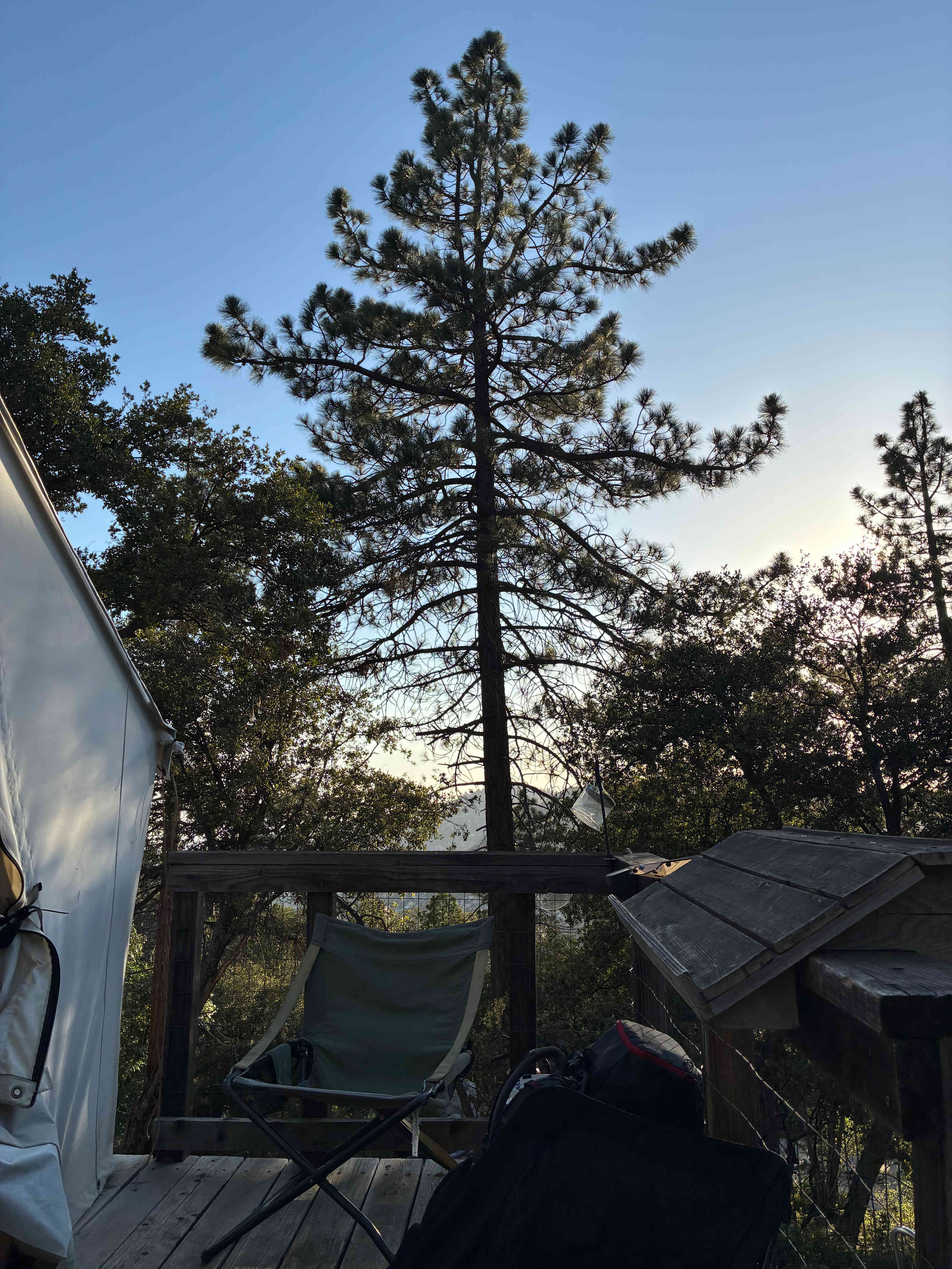 Serene forest privacy for 4WD