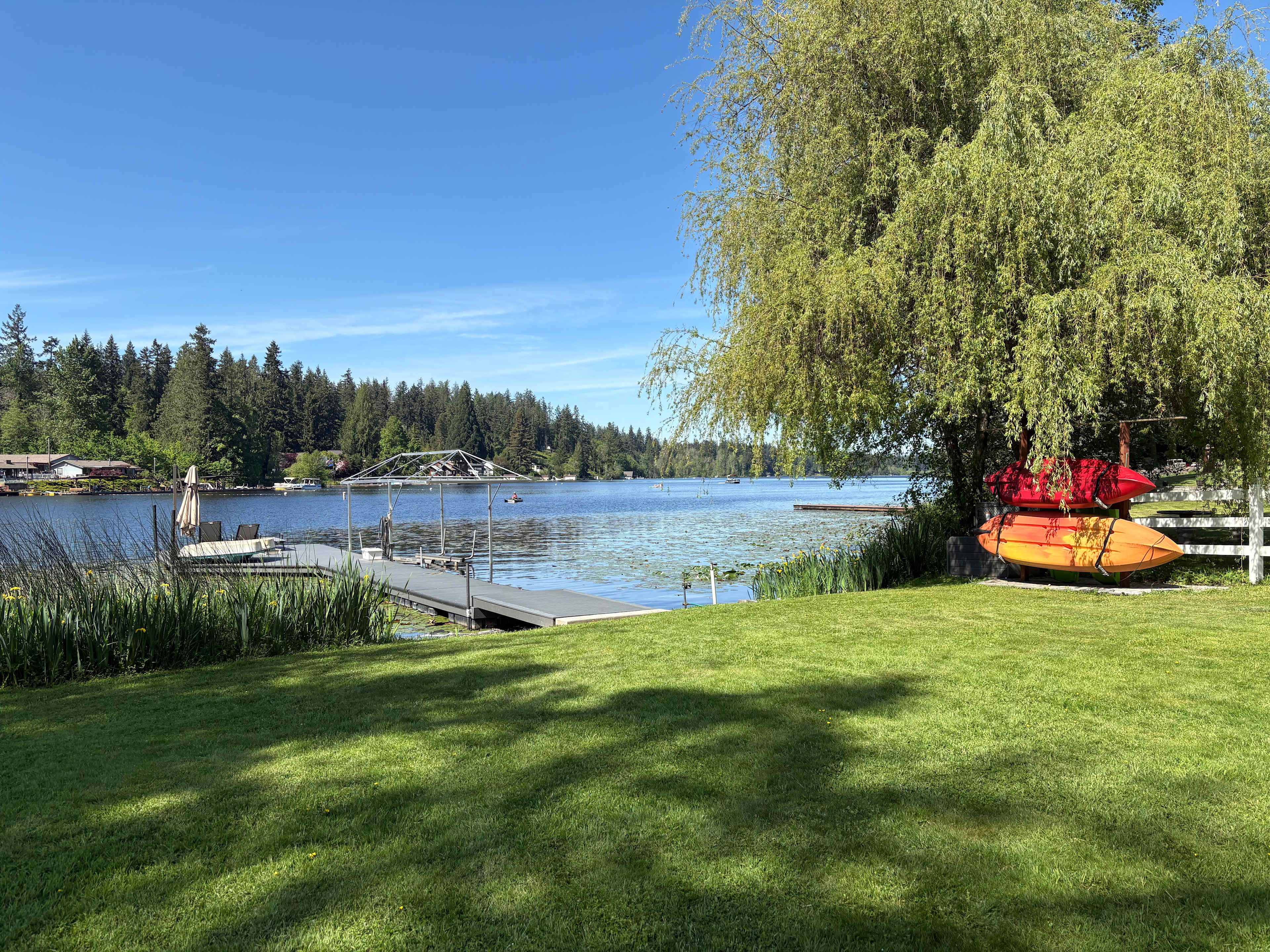 Better to Wake at the Lake