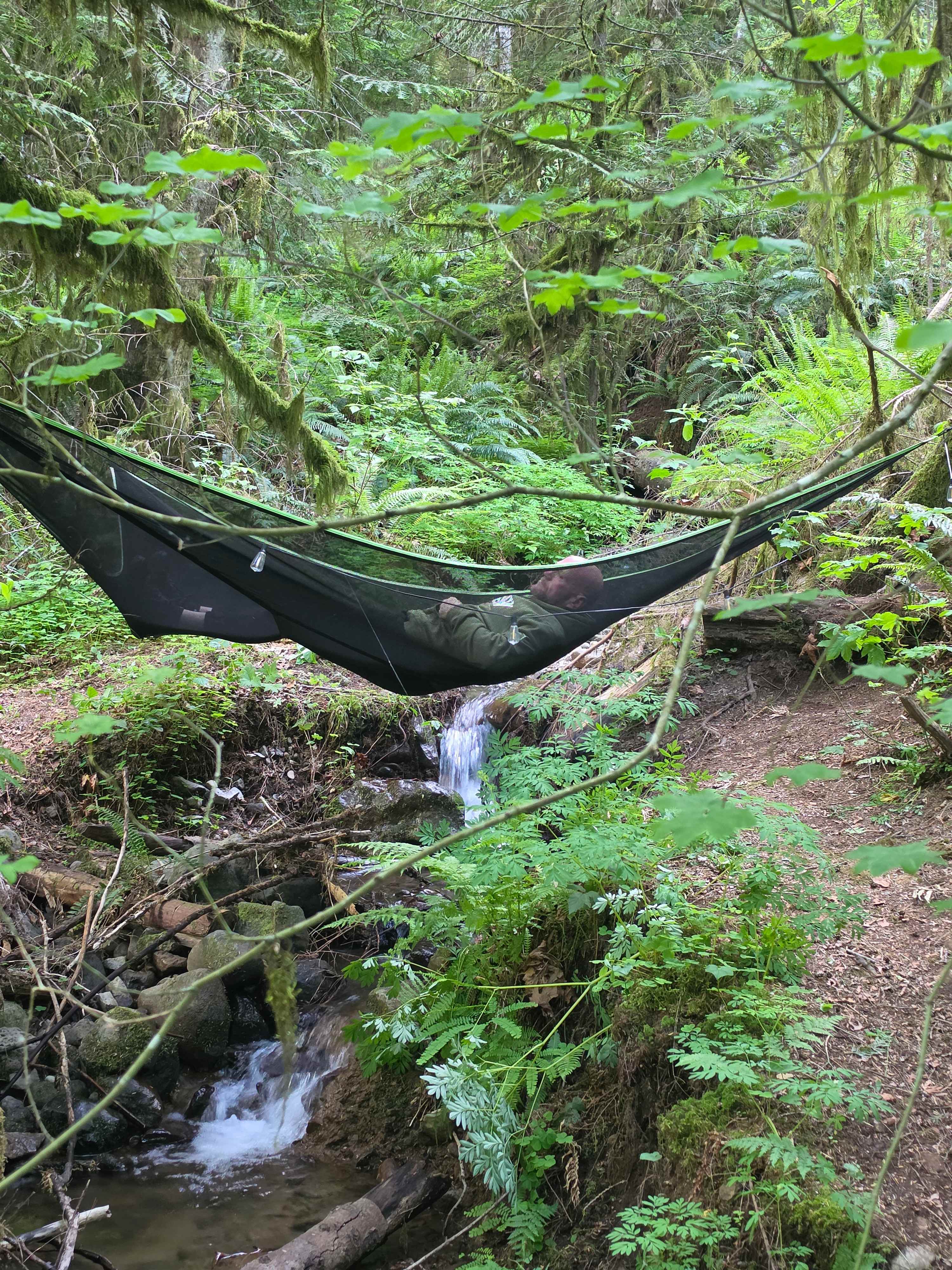 Hammock Time