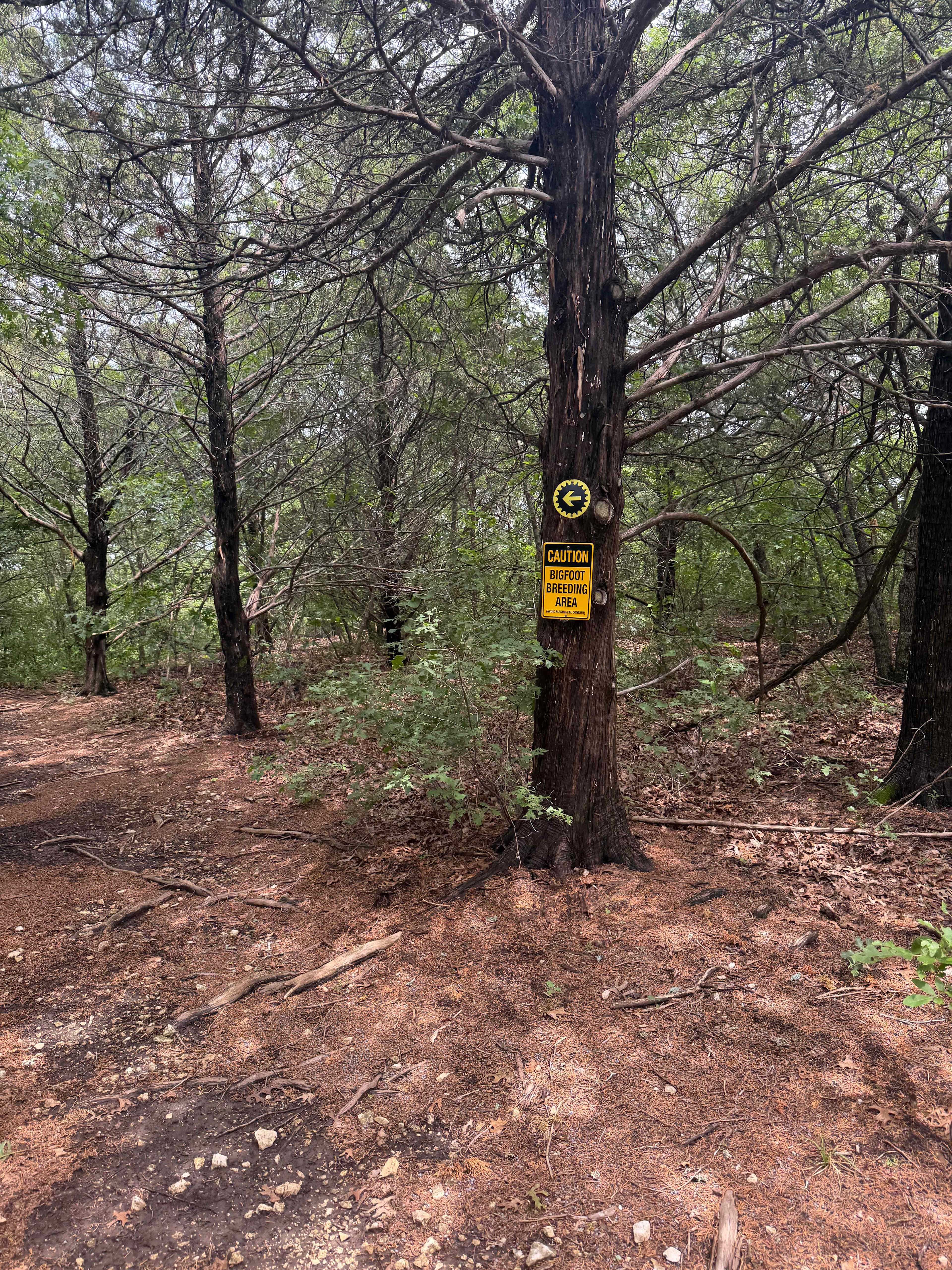 4R Ranch Winery Campsite