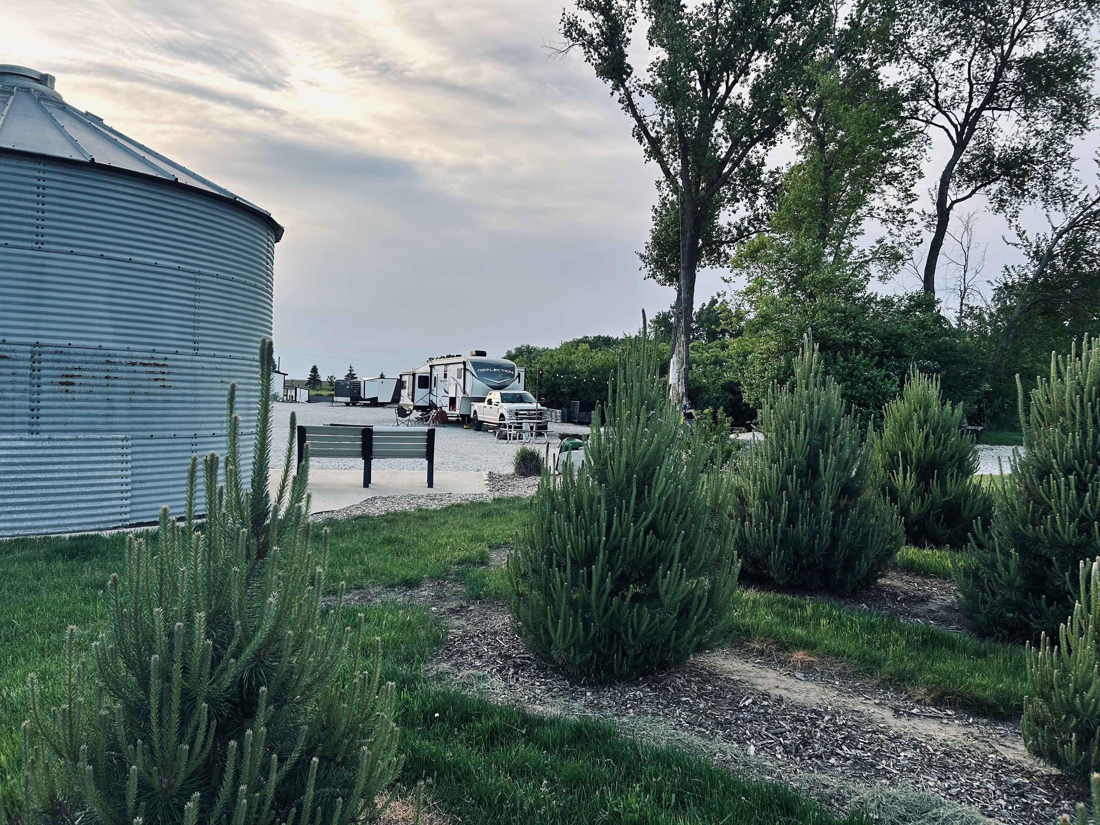 DILLON TREE FARM