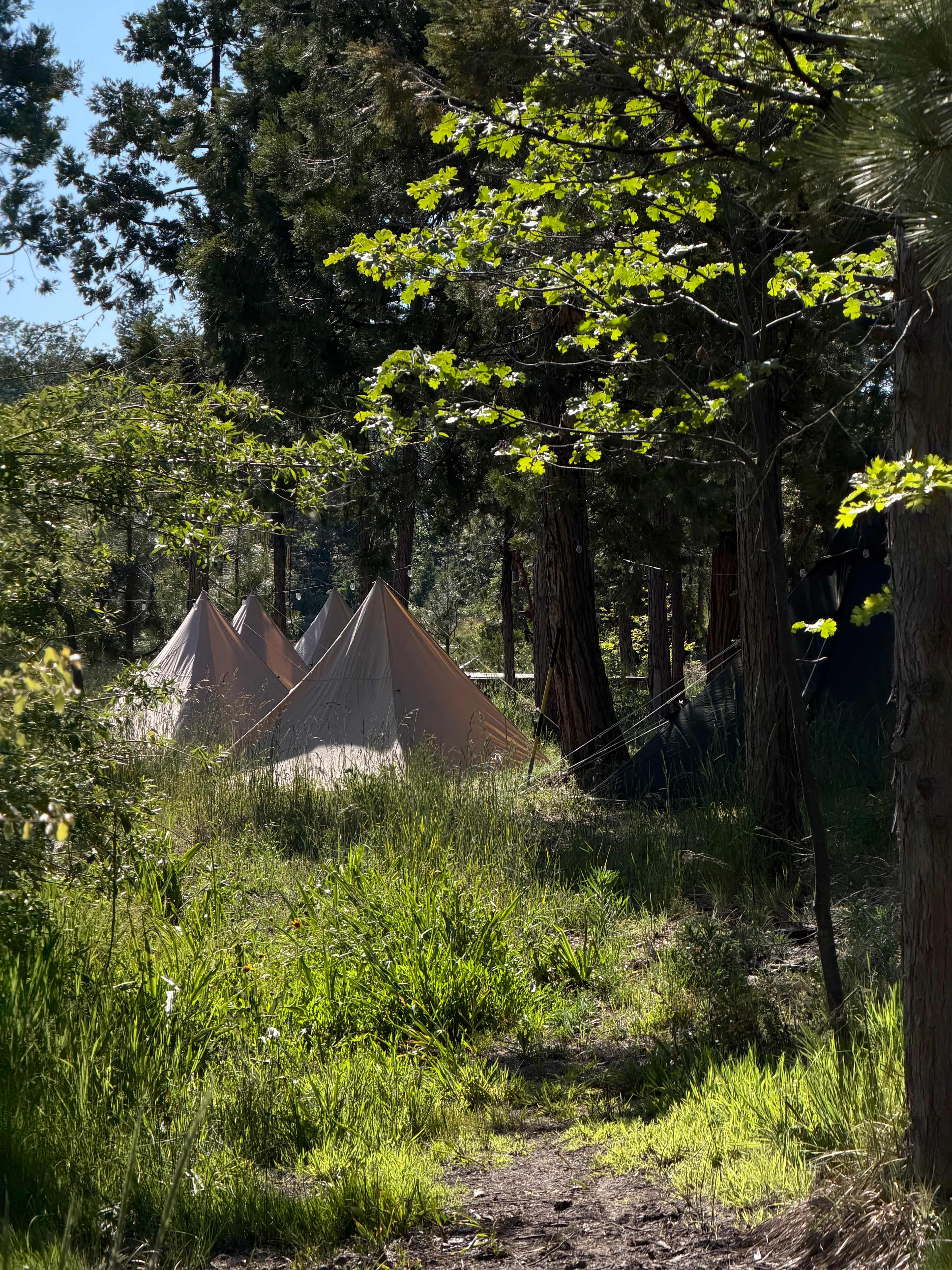 Denham Forest 100 Acre&Private Lake