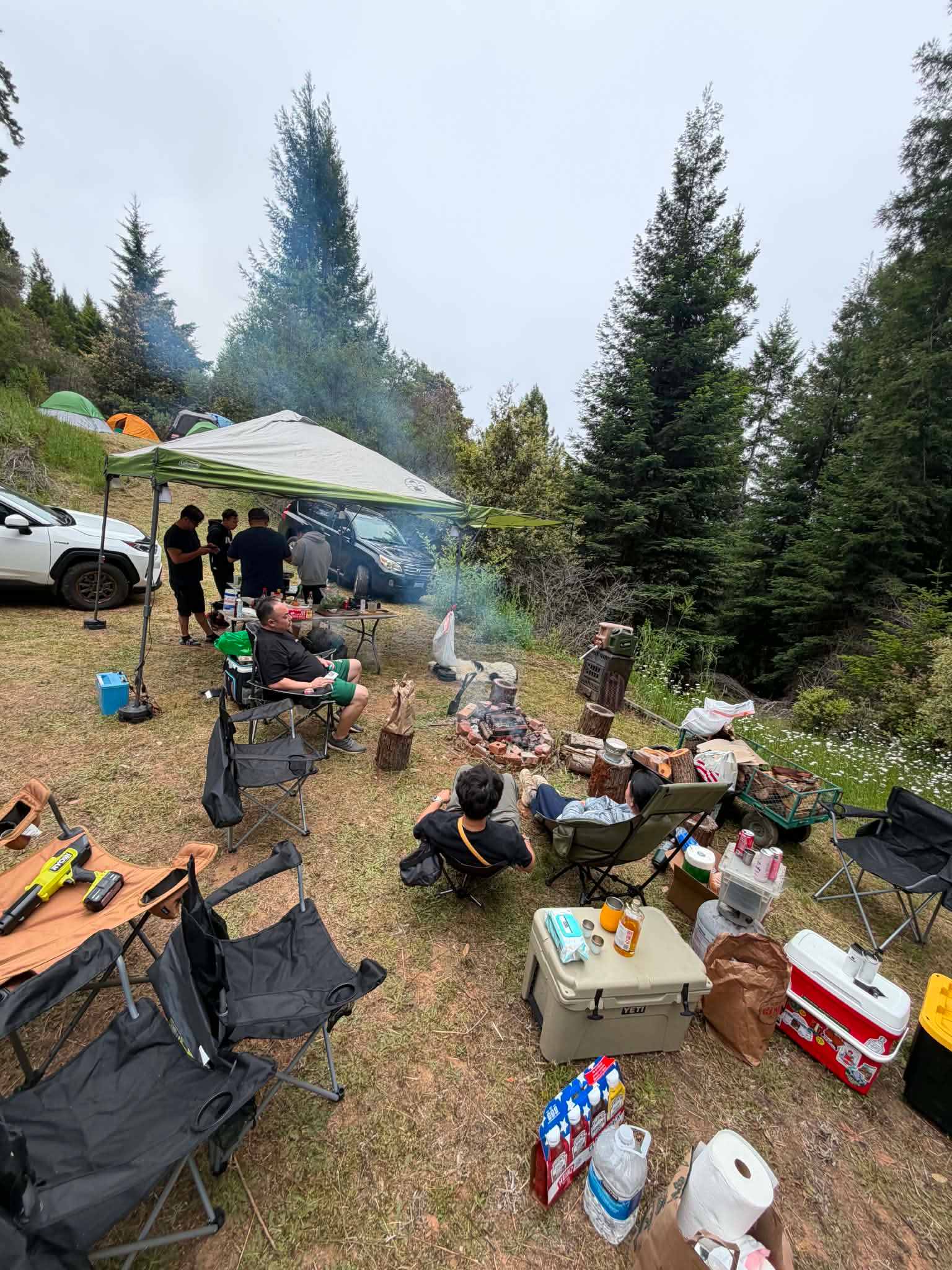 Picture of the site