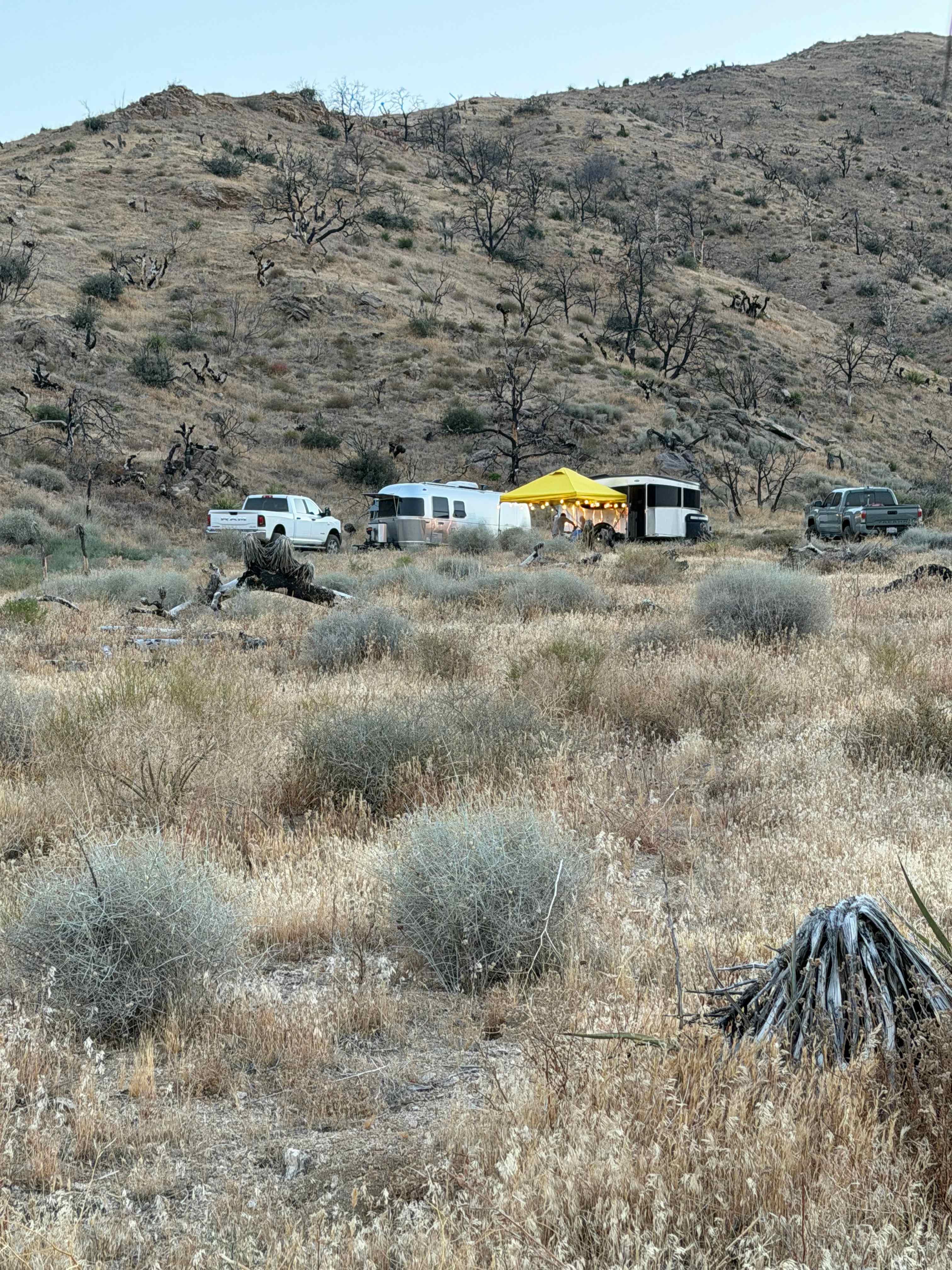 Tipi Canyon, Joshua Tree Nat’l Park