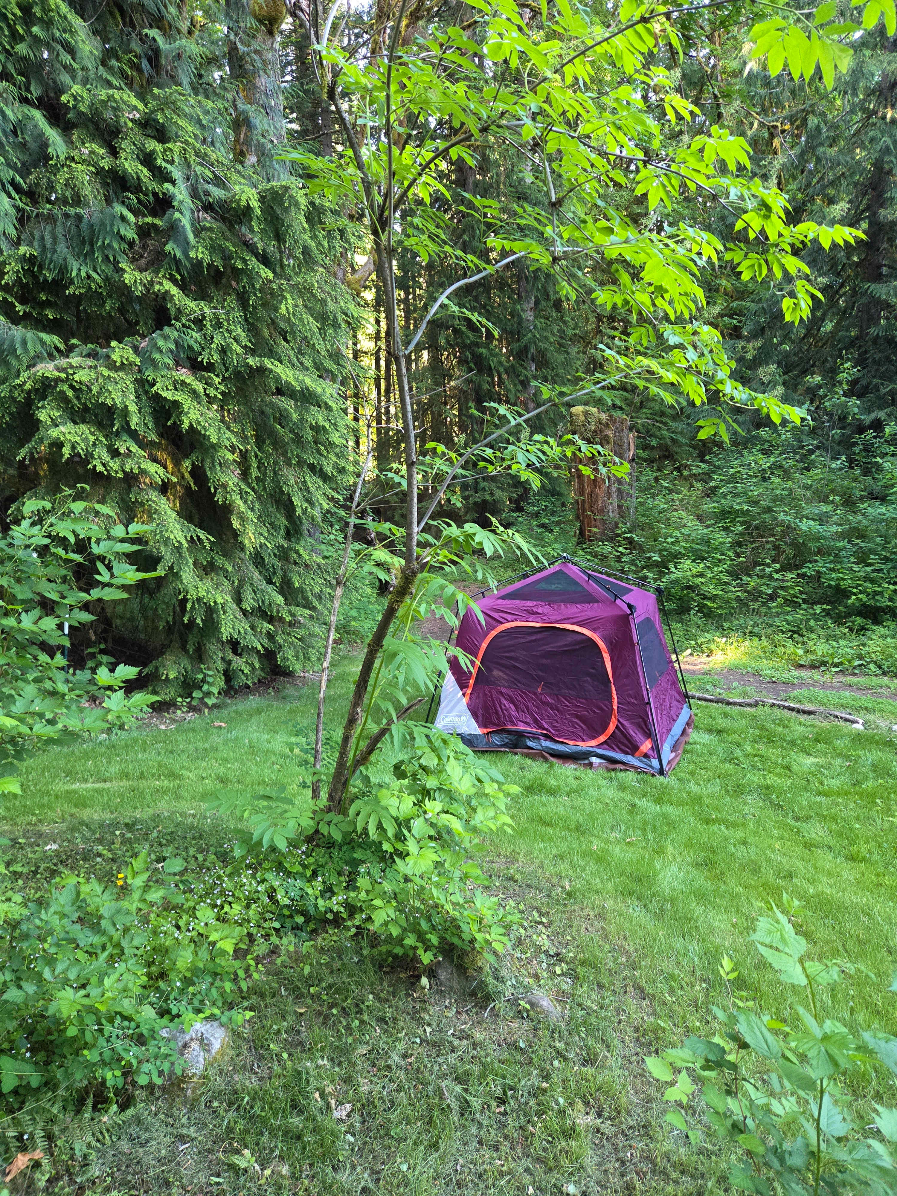 Kragnes Family Farm Mt Baker Camp