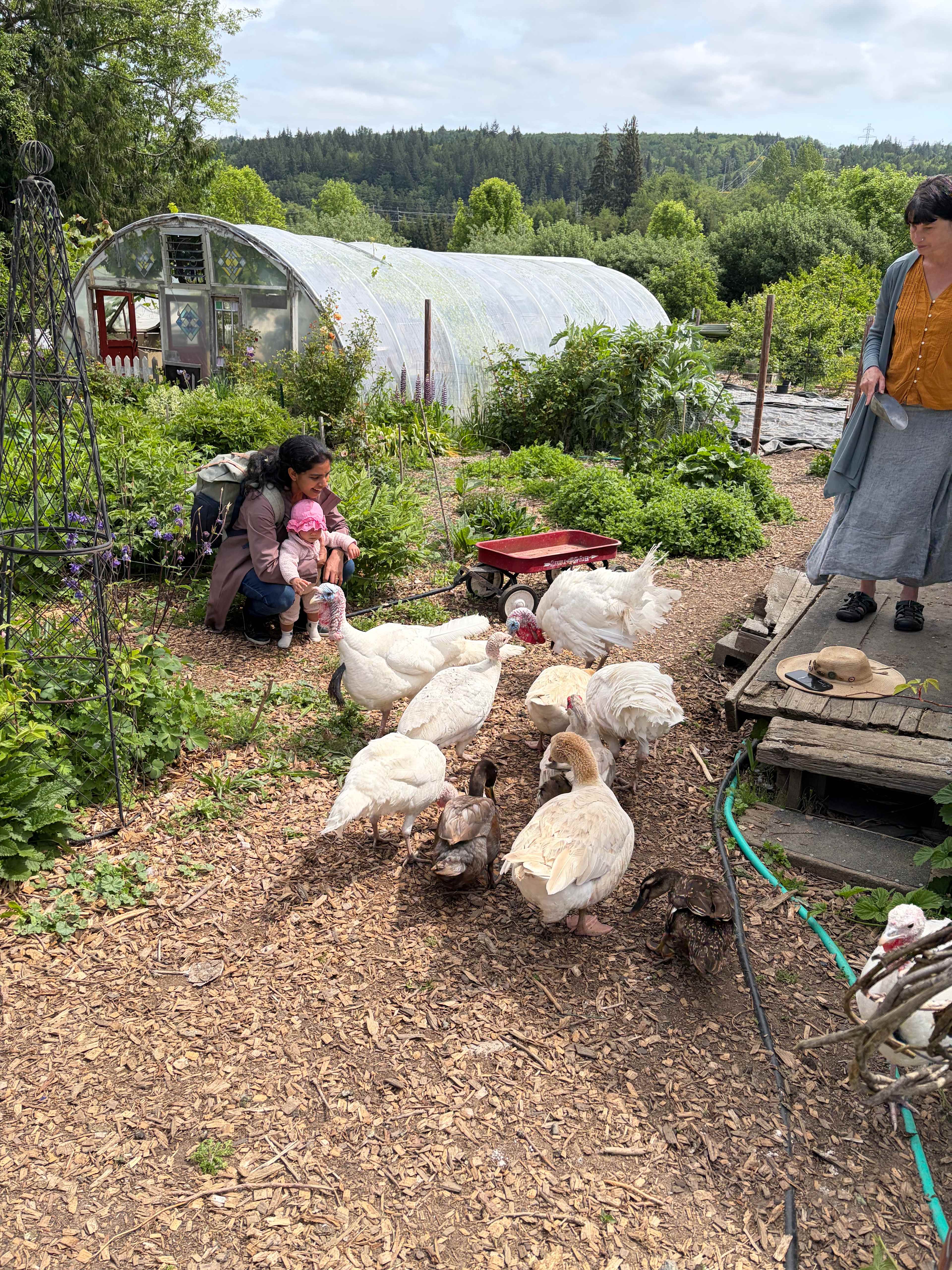 Compass Rose Farms