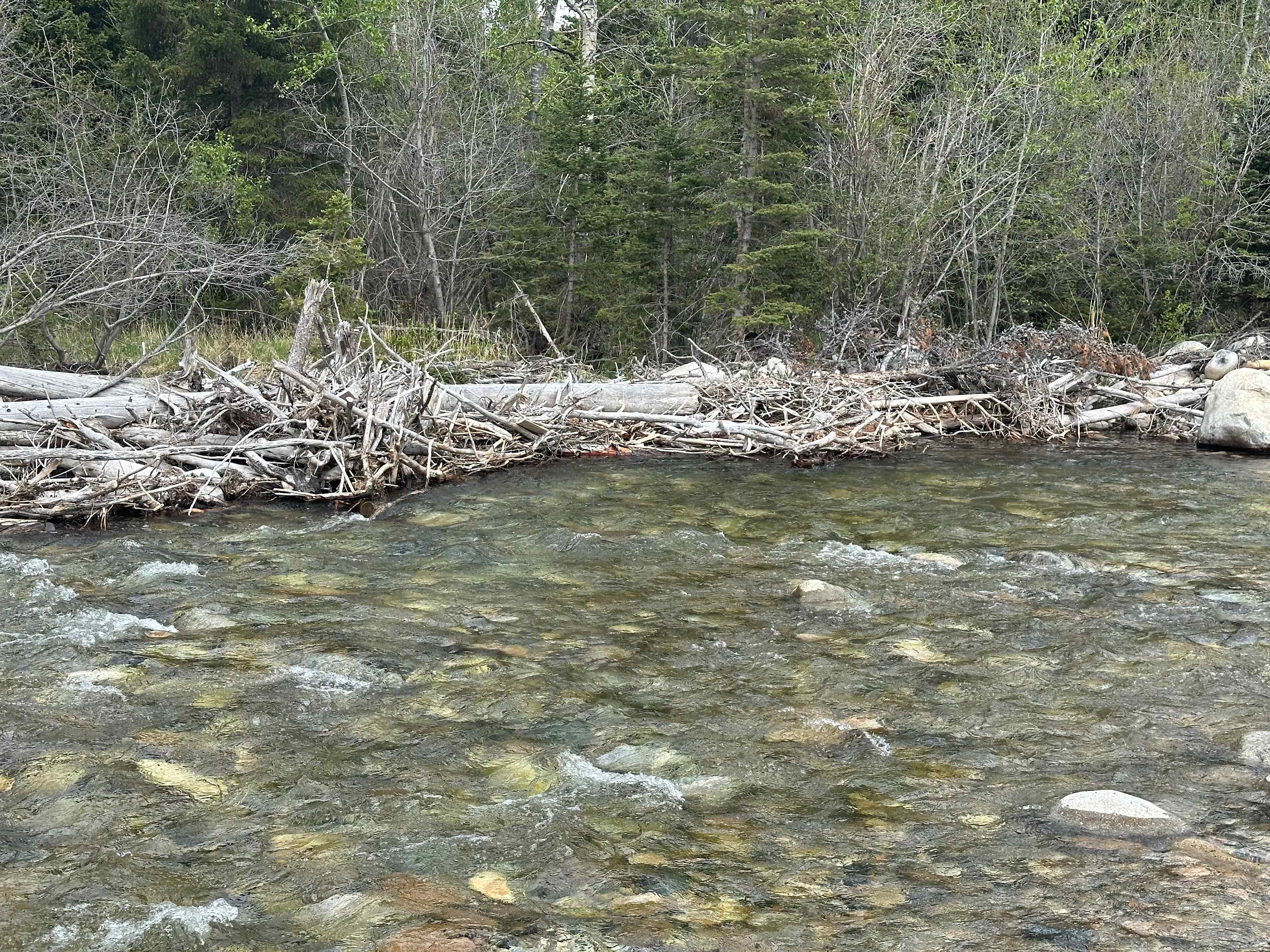 Rock Creek Retreat