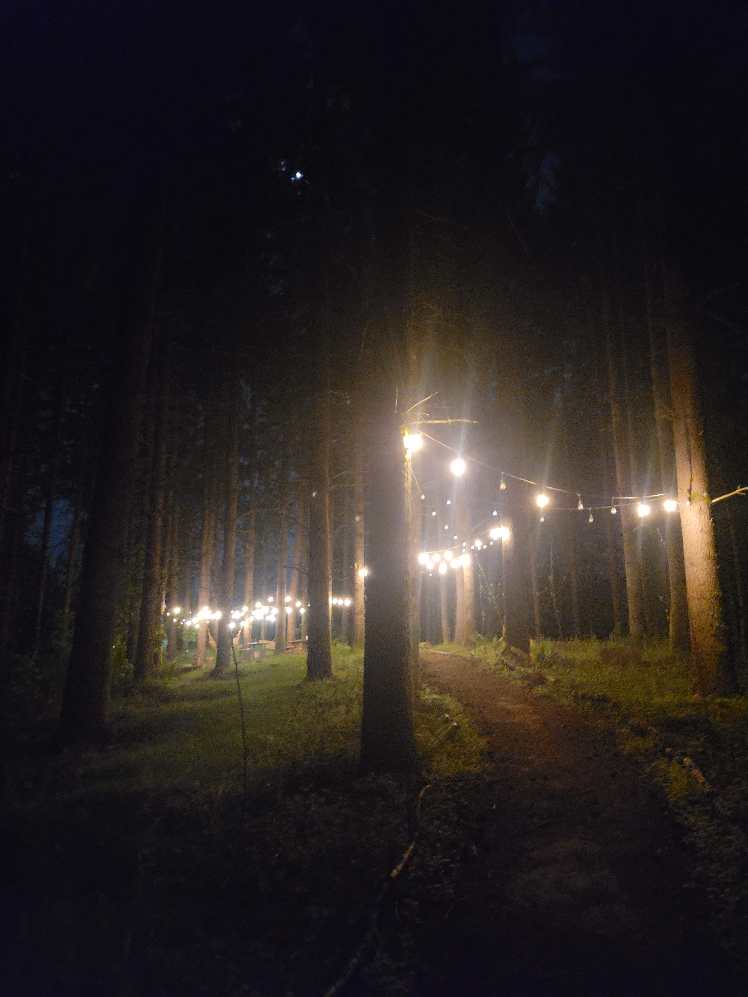 Akitaaru Forest Camp